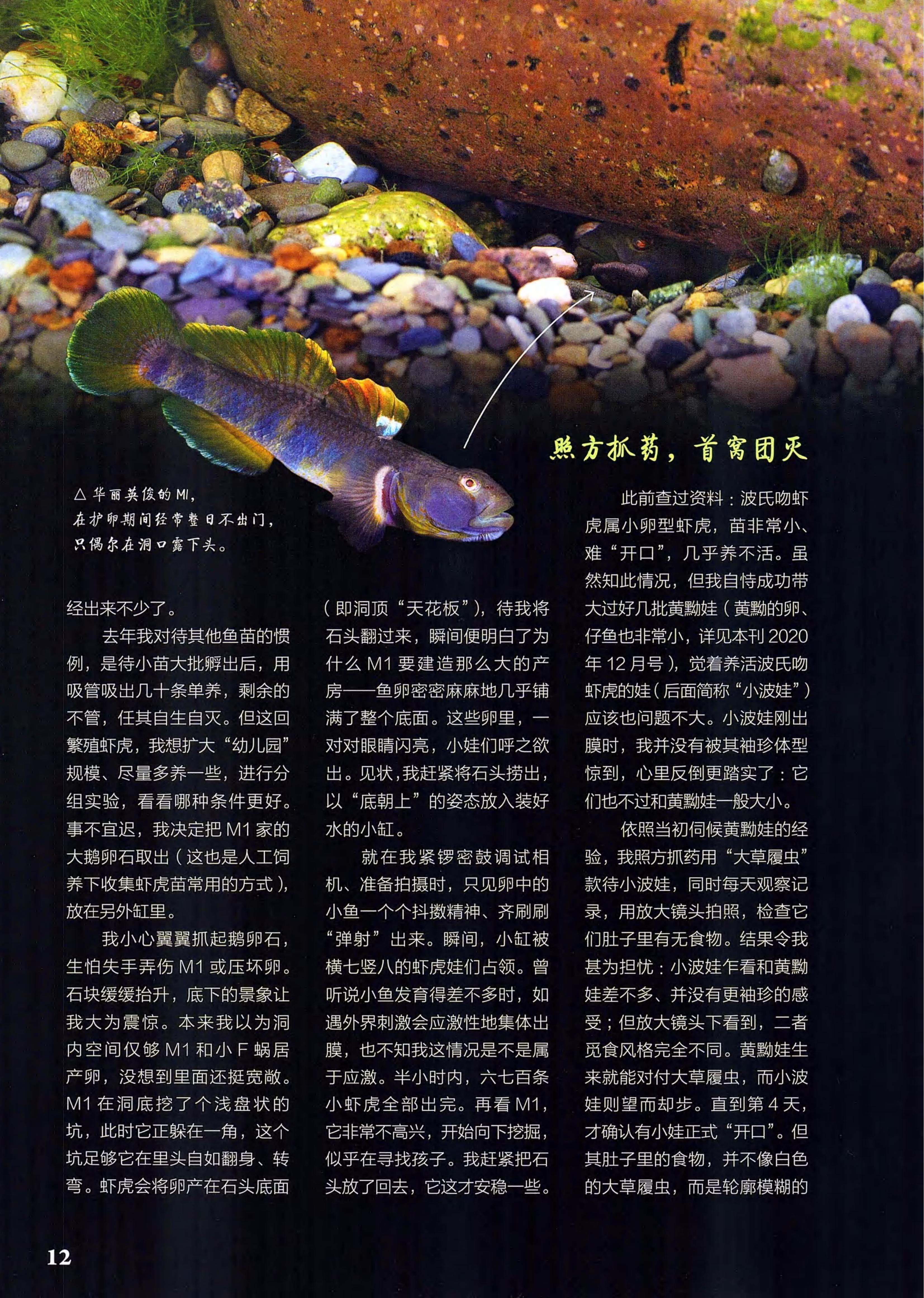 博物2021年8月_第10页