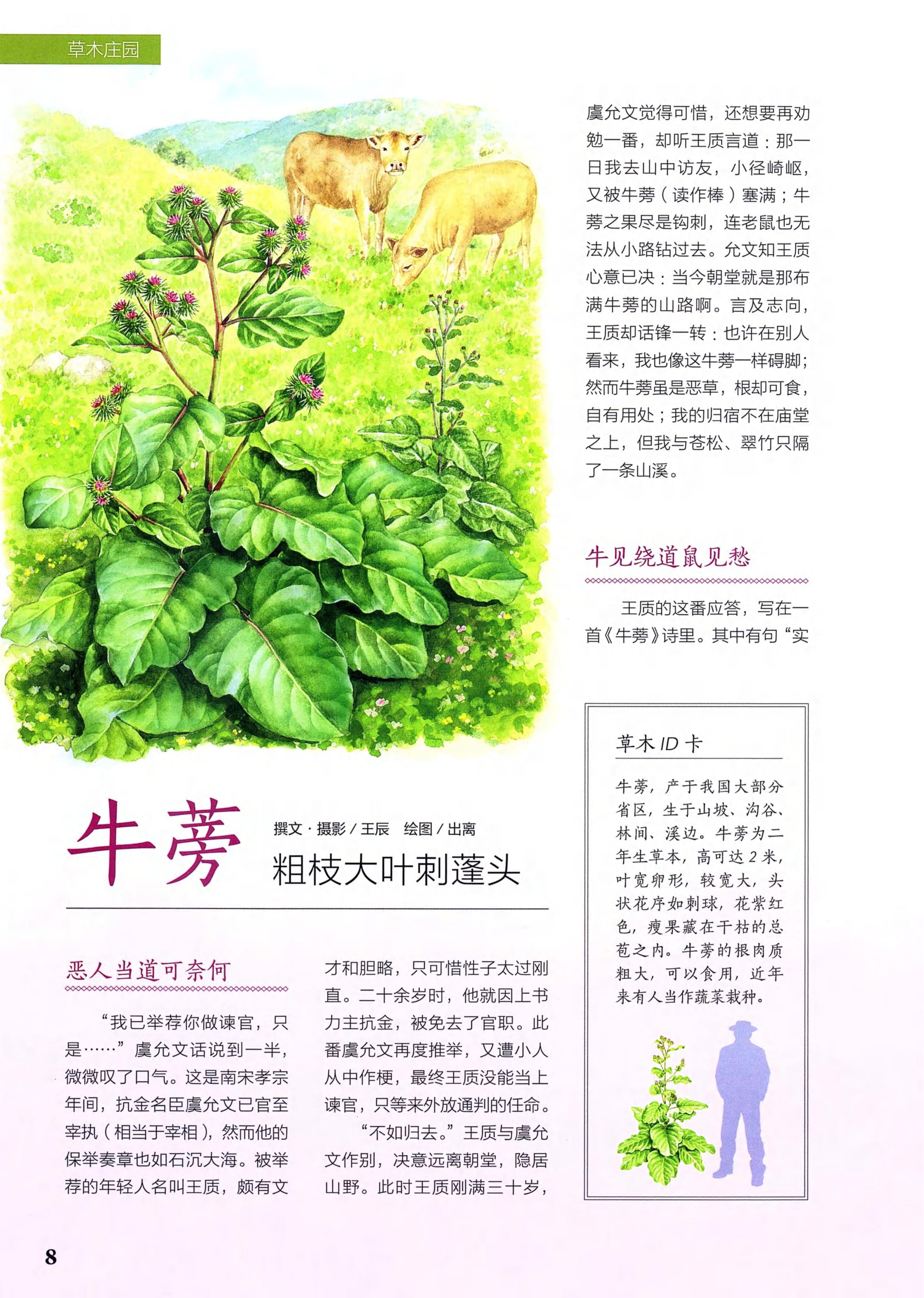 博物2021年8月_第6页