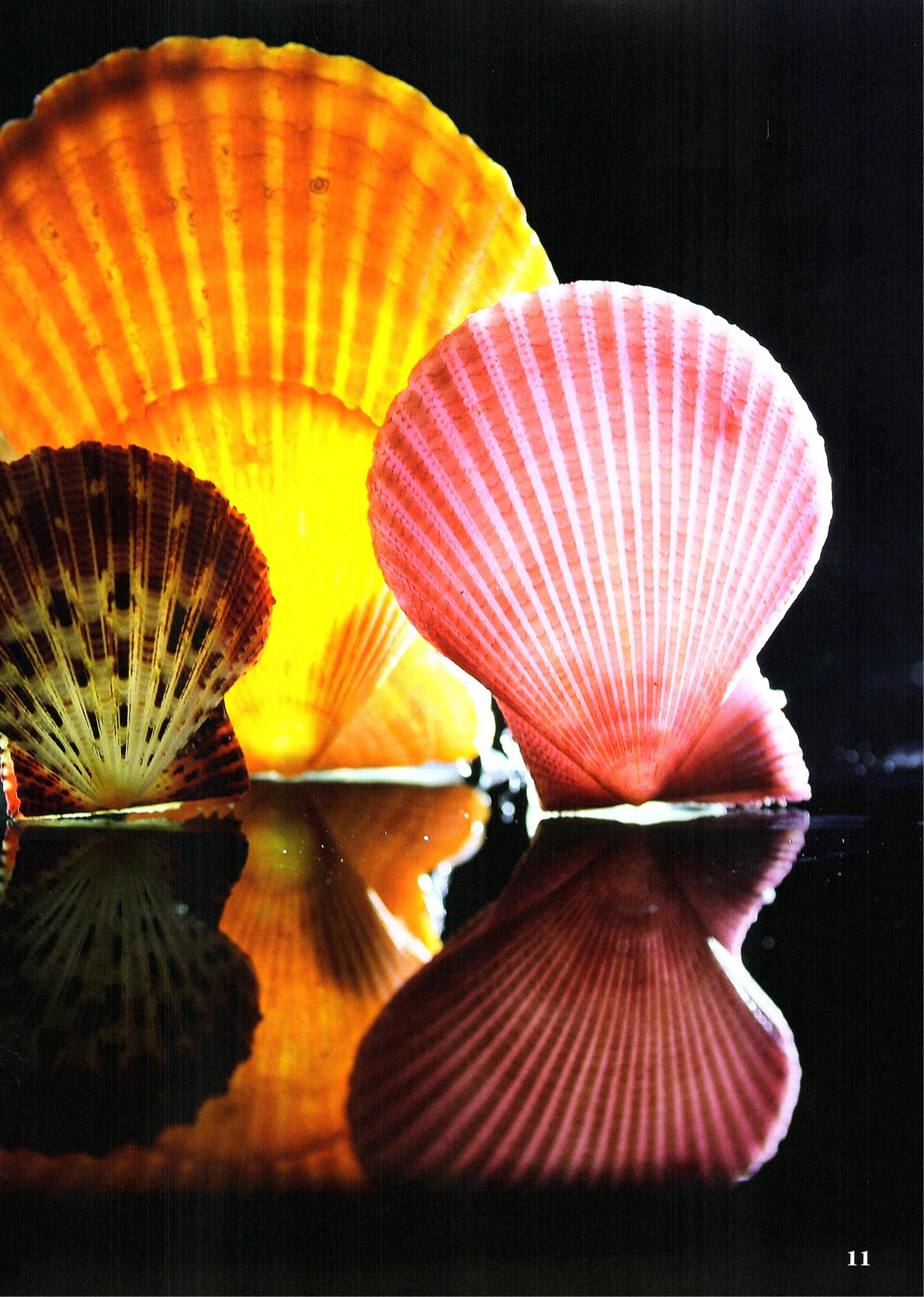 博物2021年9月_第9页