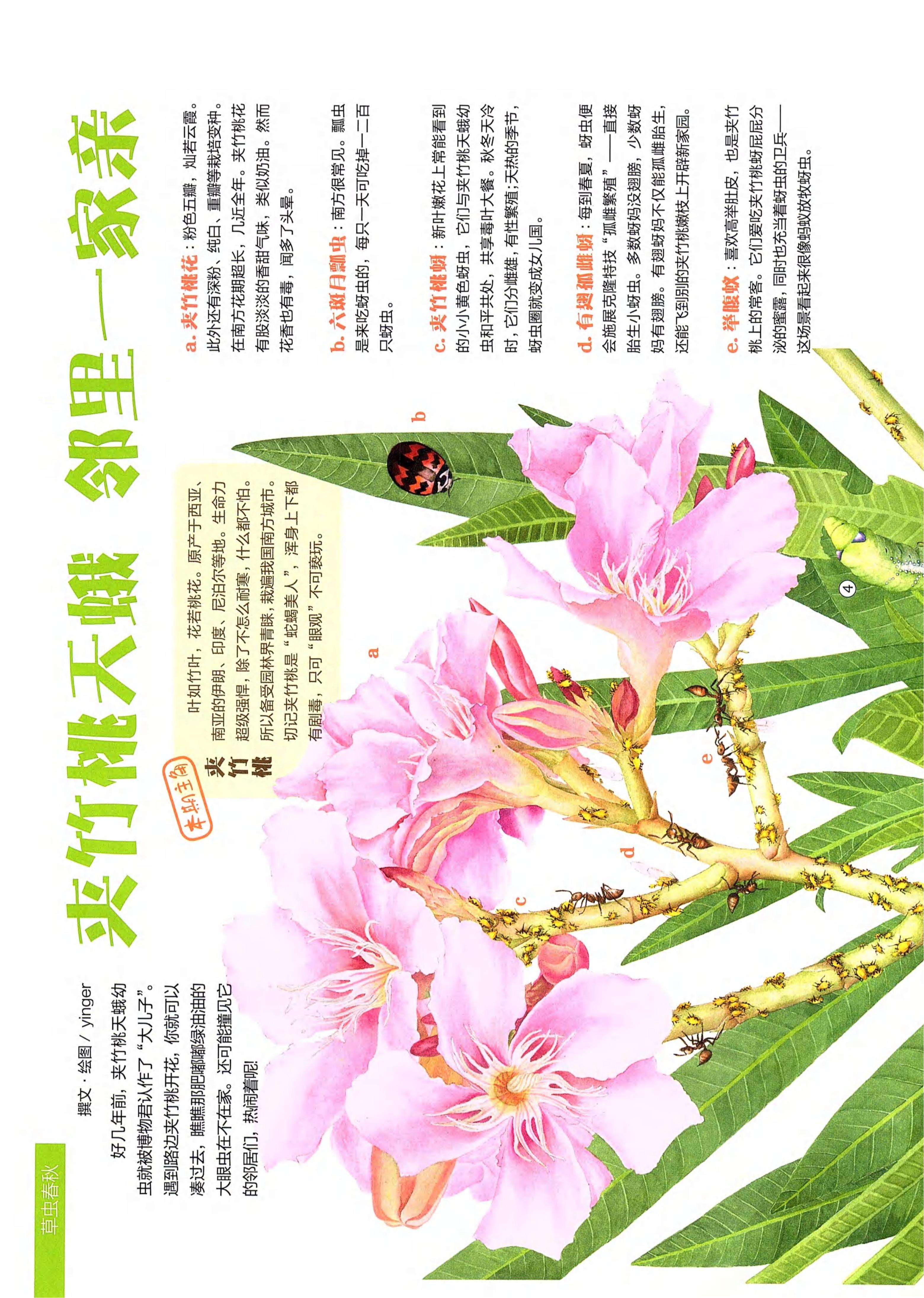 博物2021年9月_第6页