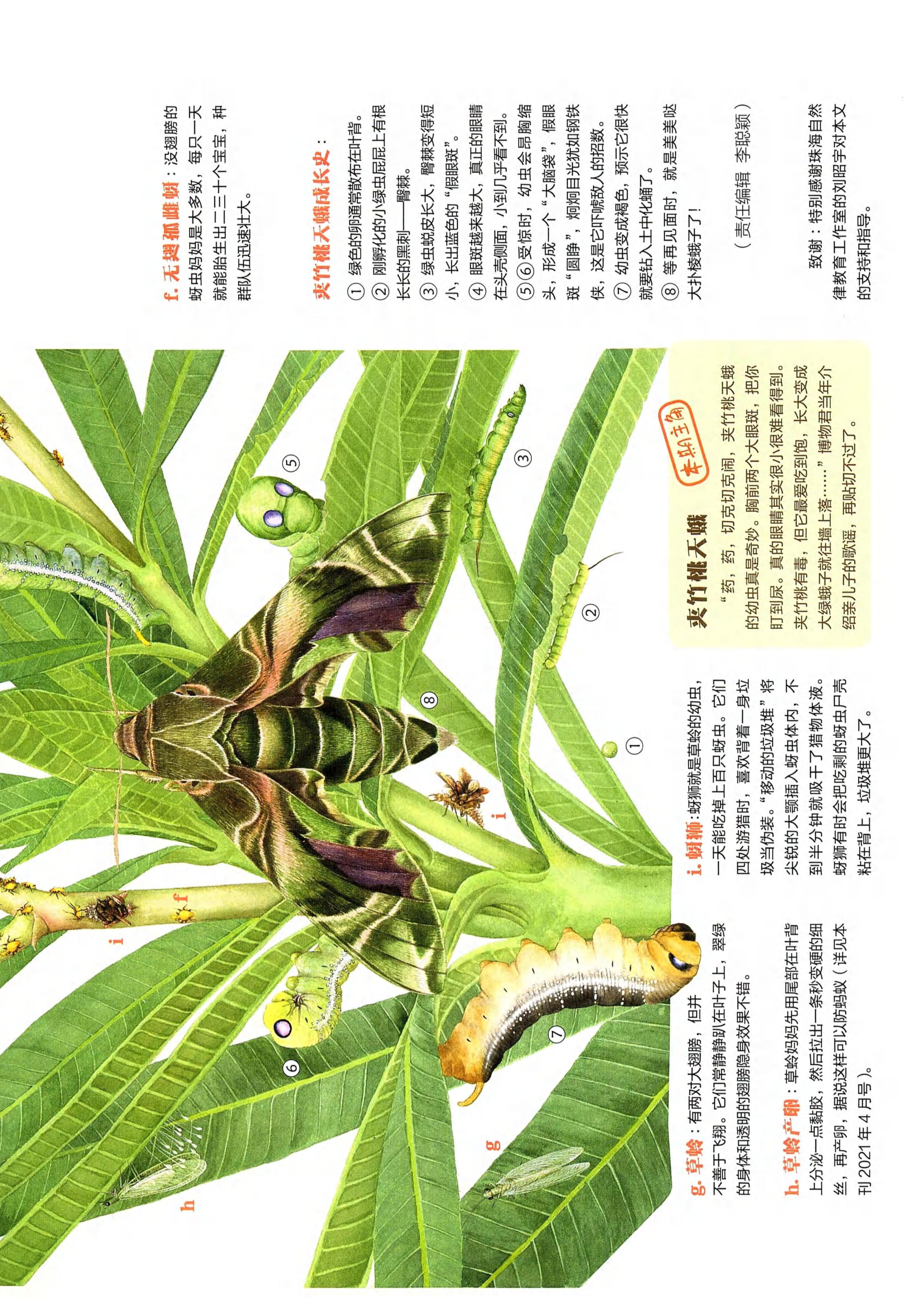 博物2021年9月_第7页