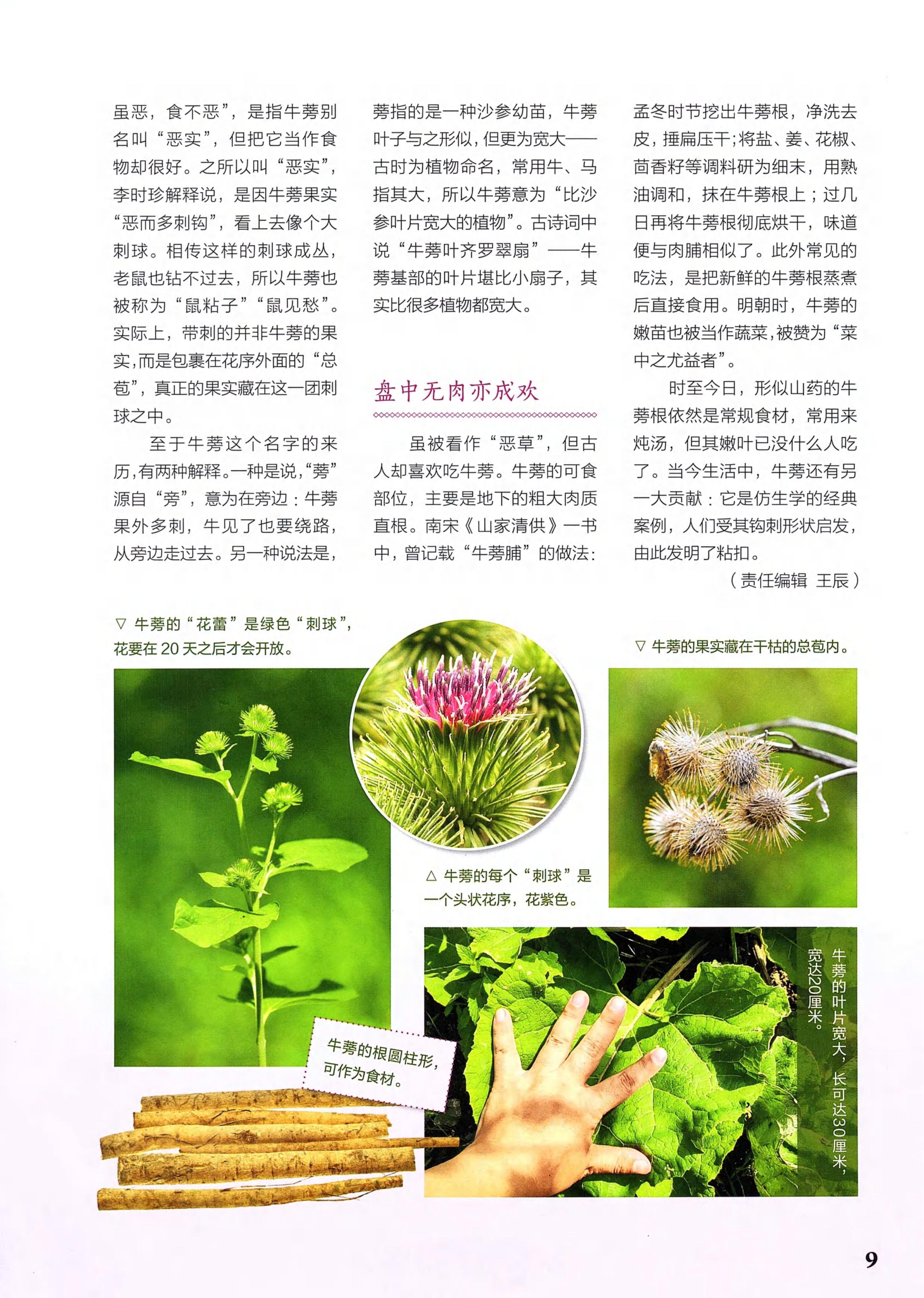 博物2021年8月_第7页