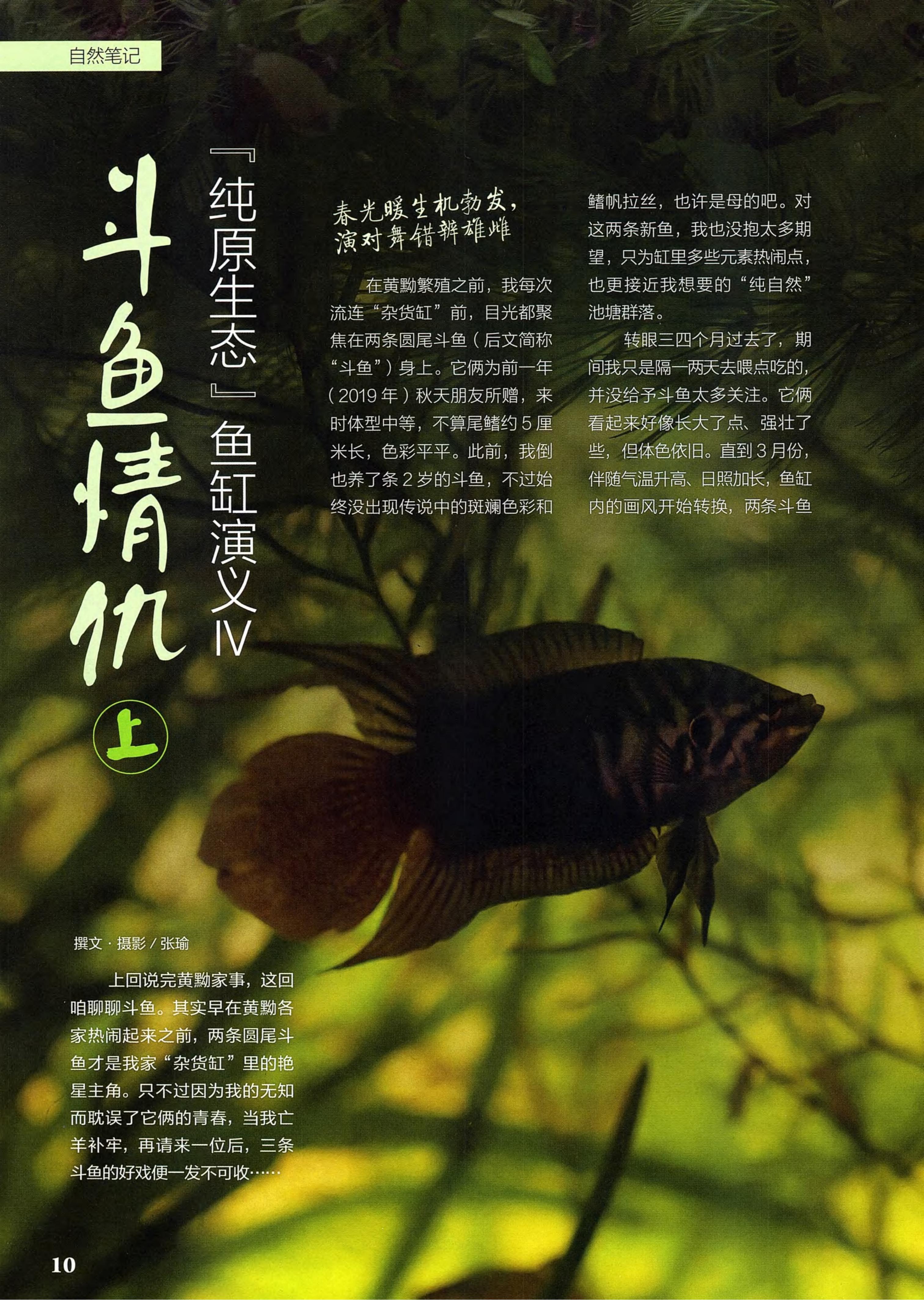 博物2021年1月_第8页