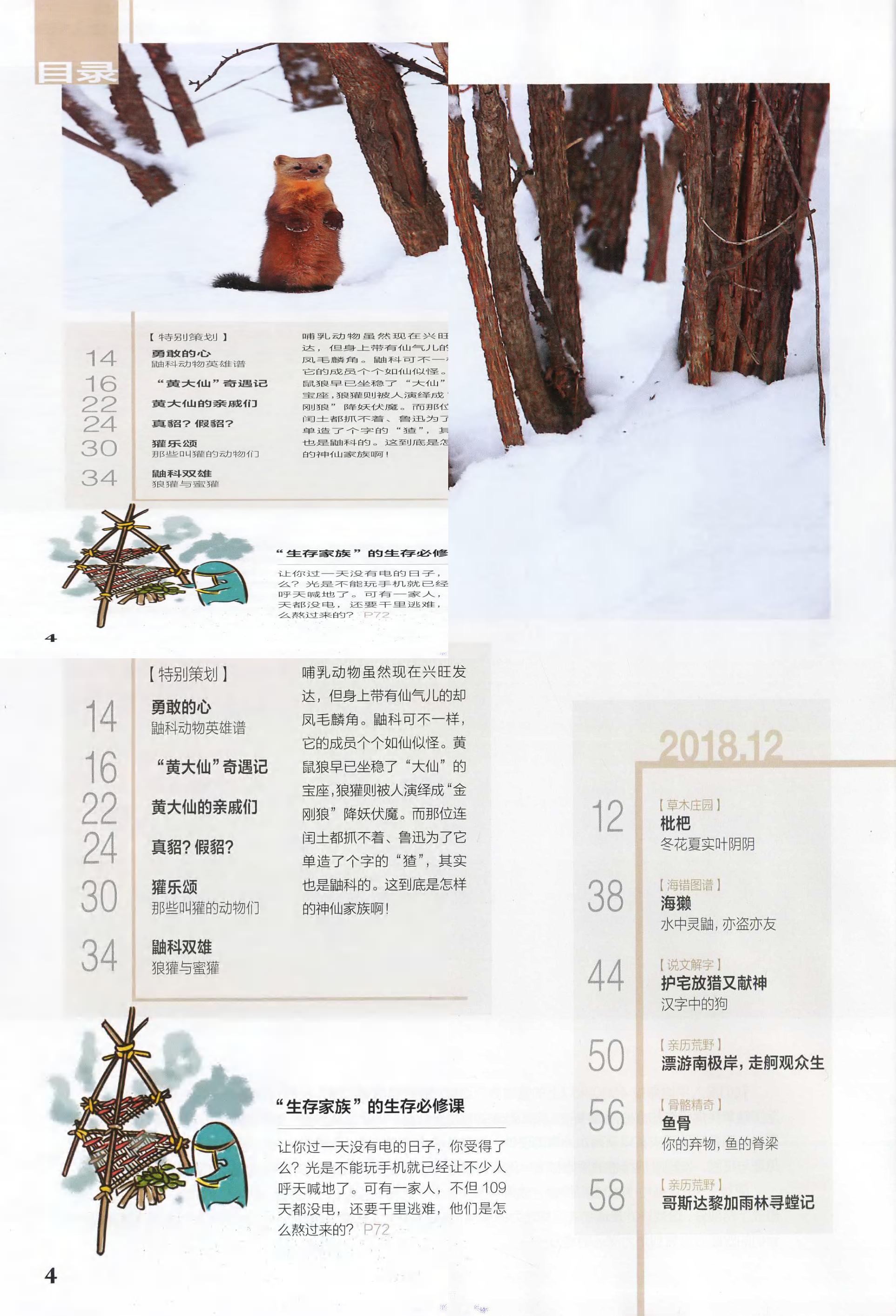 博物-2018-12_第6页