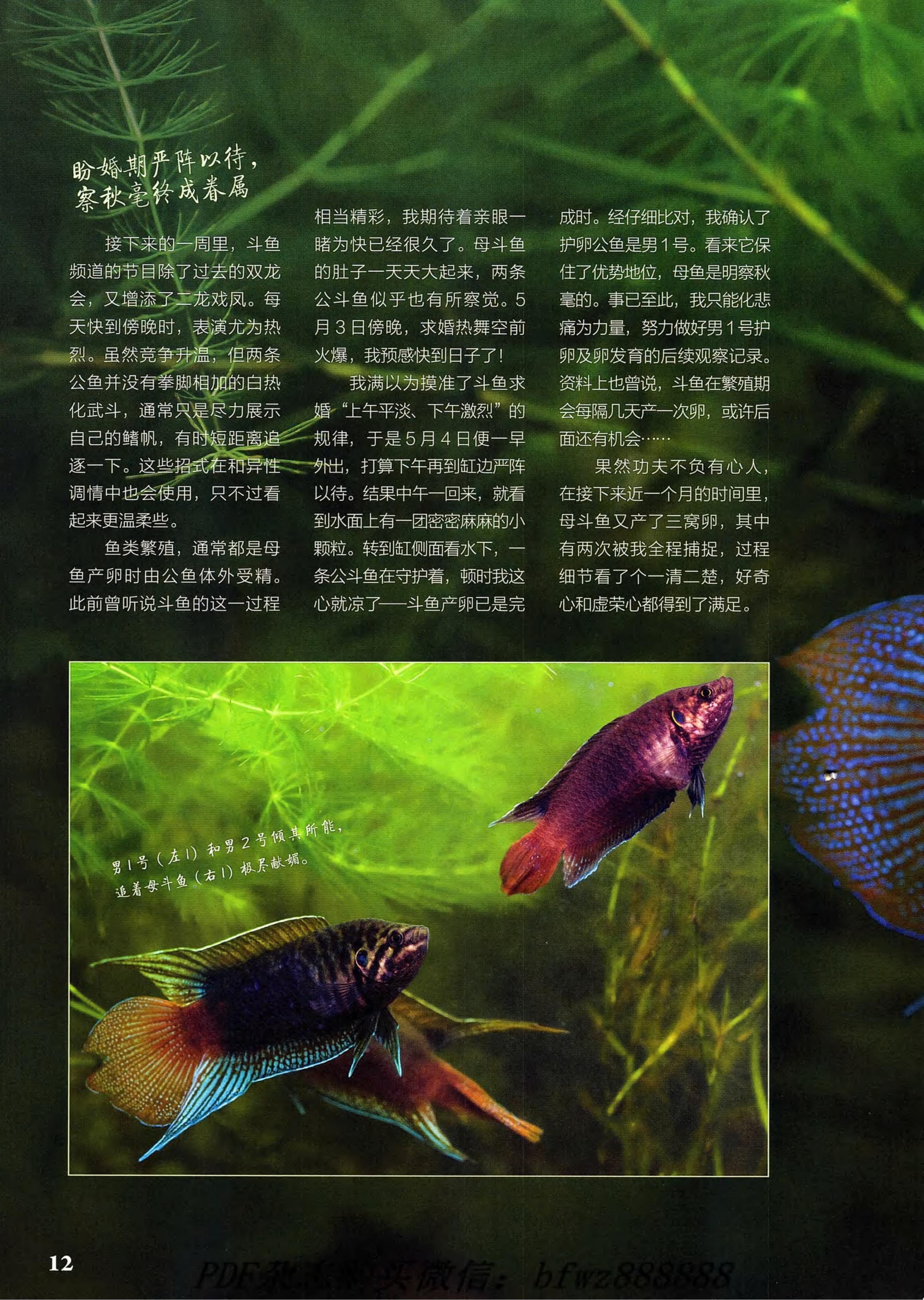 博物2021年1月_第10页