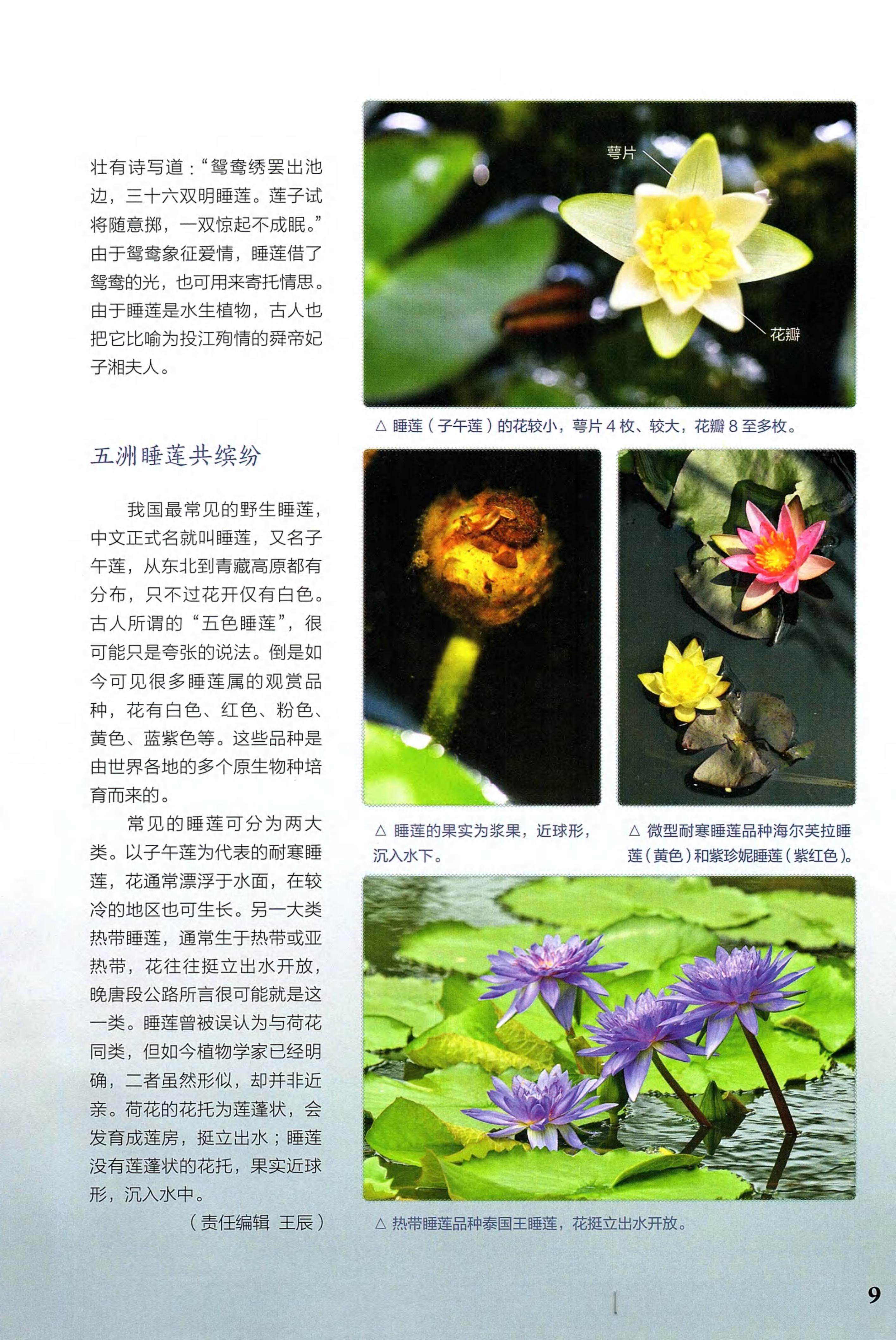 博物2021年5月_第7页