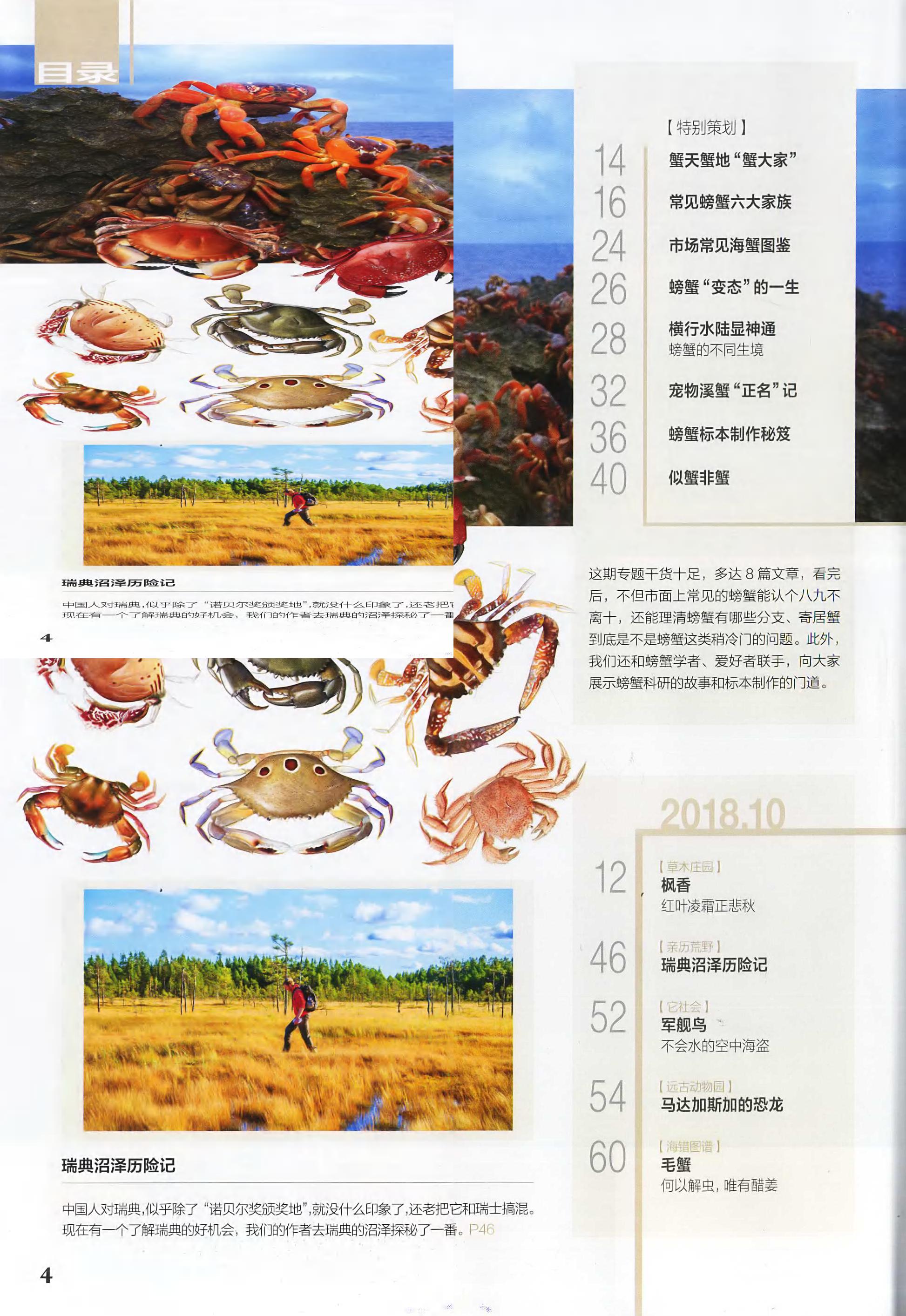 博物-2018-10_第6页