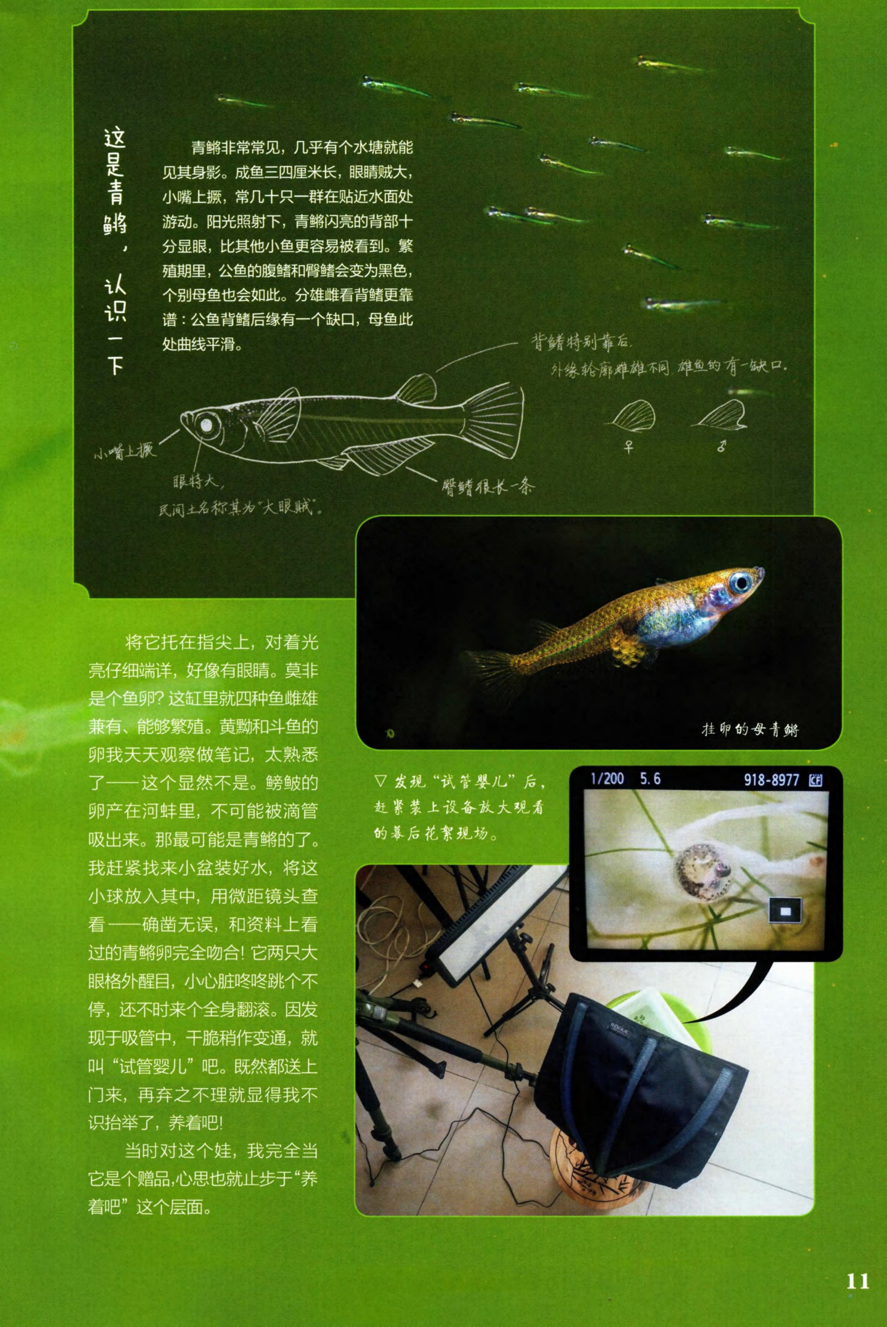 博物2021年5月_第9页