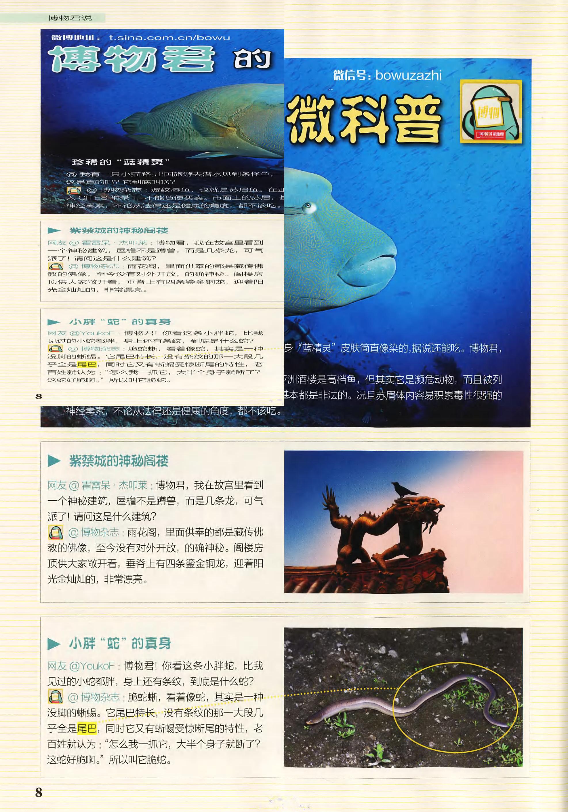 博物-2018-06_第10页