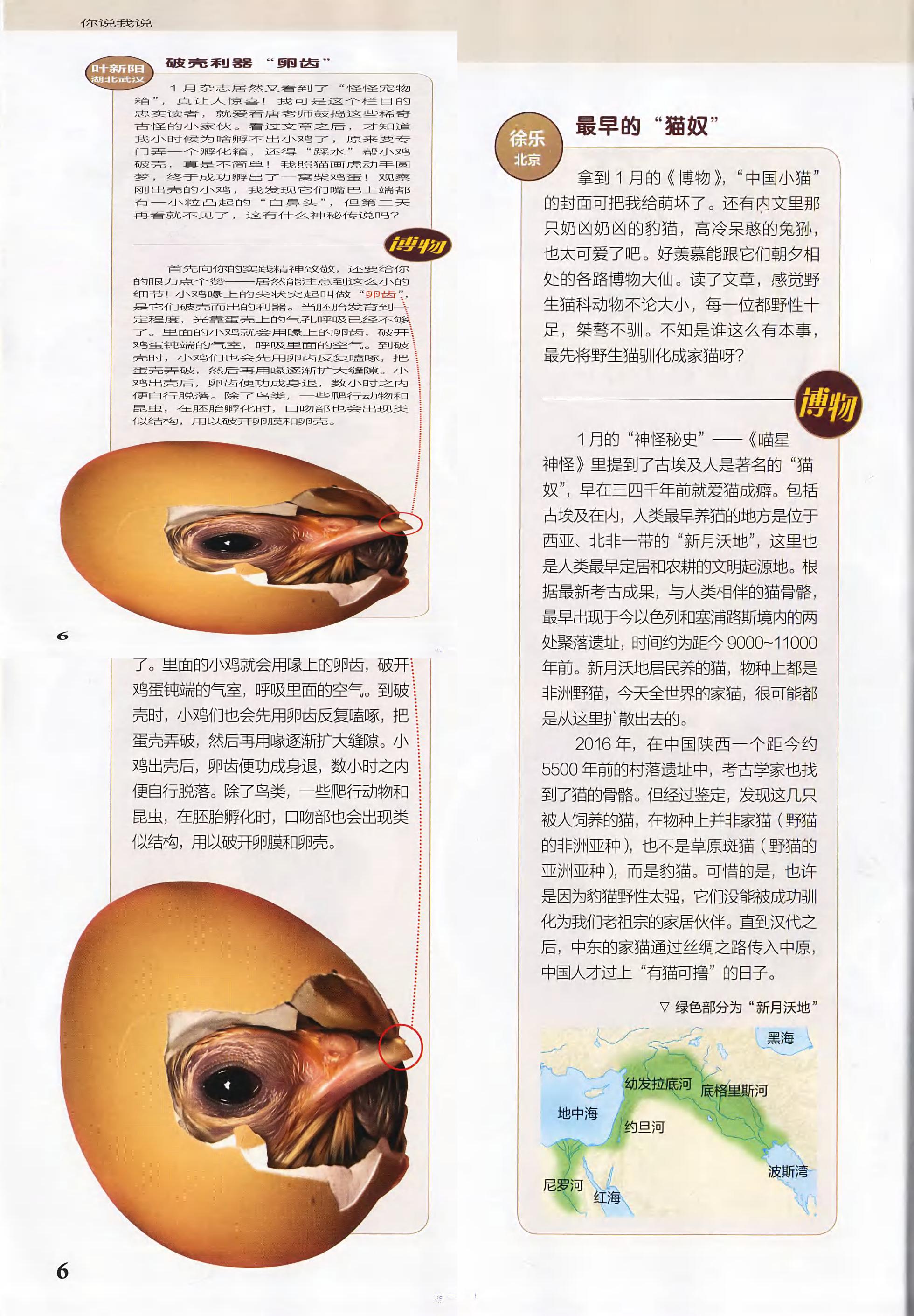 博物-2018-02_第8页