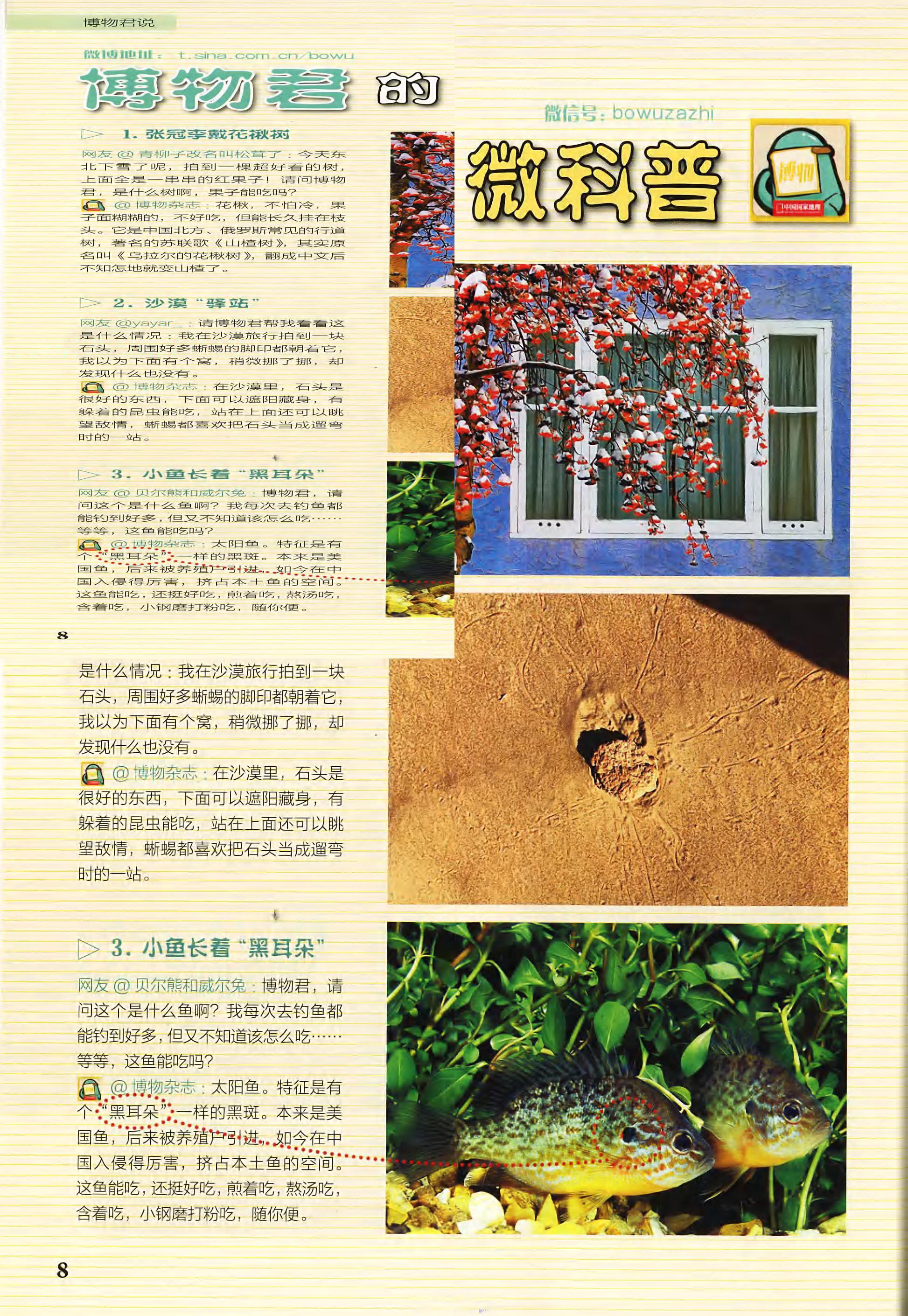 博物-2018-01_第8页