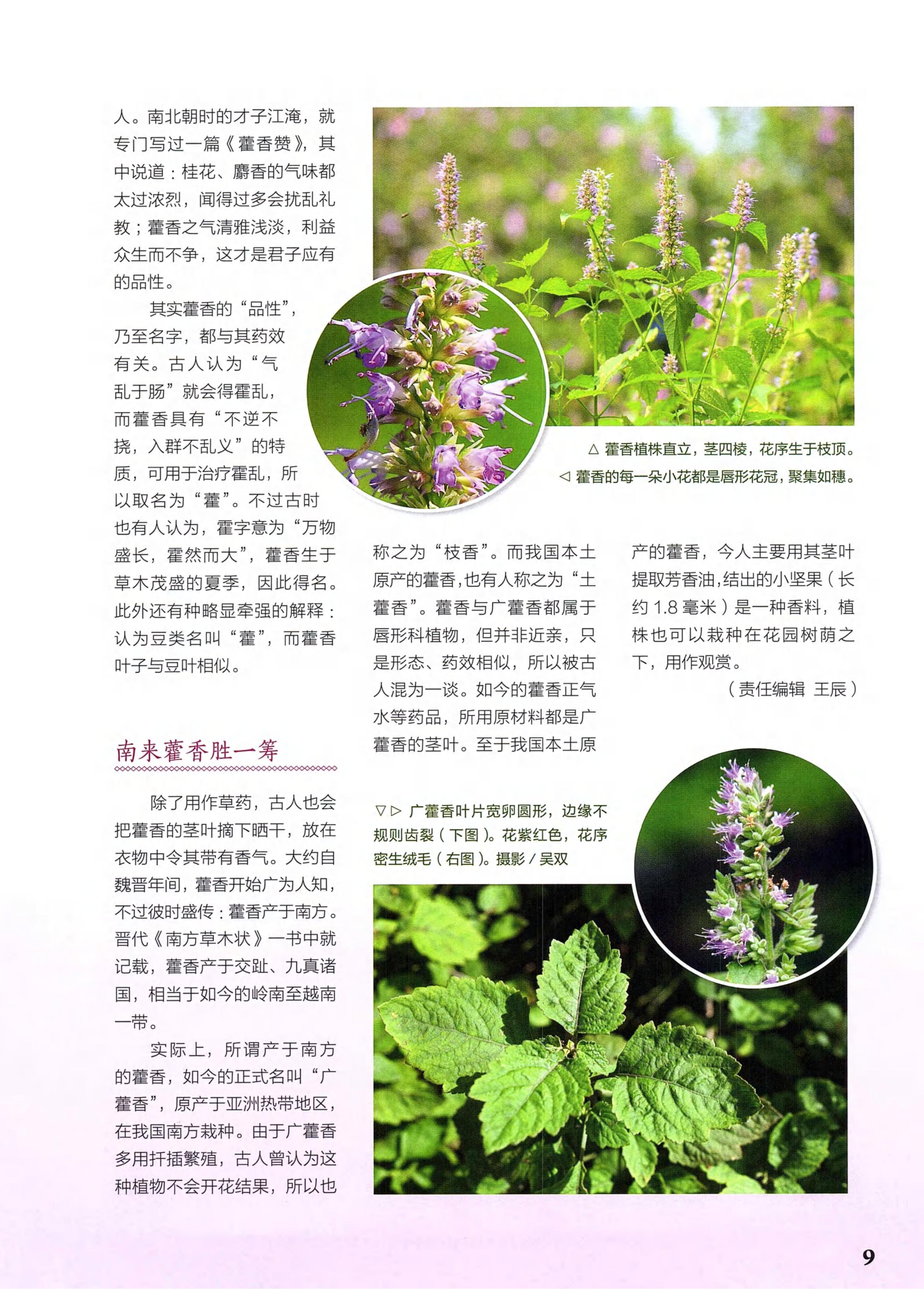 博物2021年7月_第9页