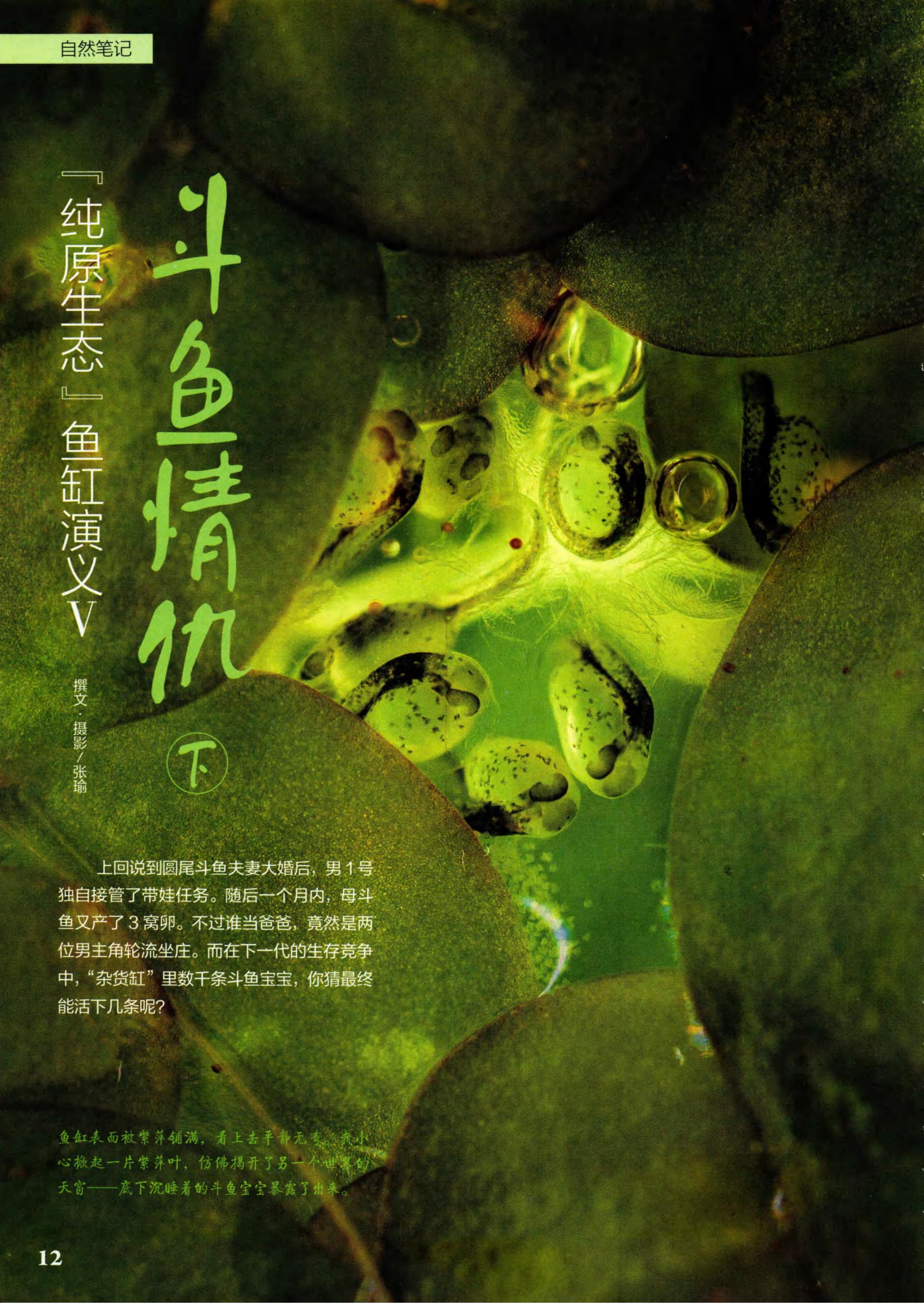 博物2021年2月_第10页