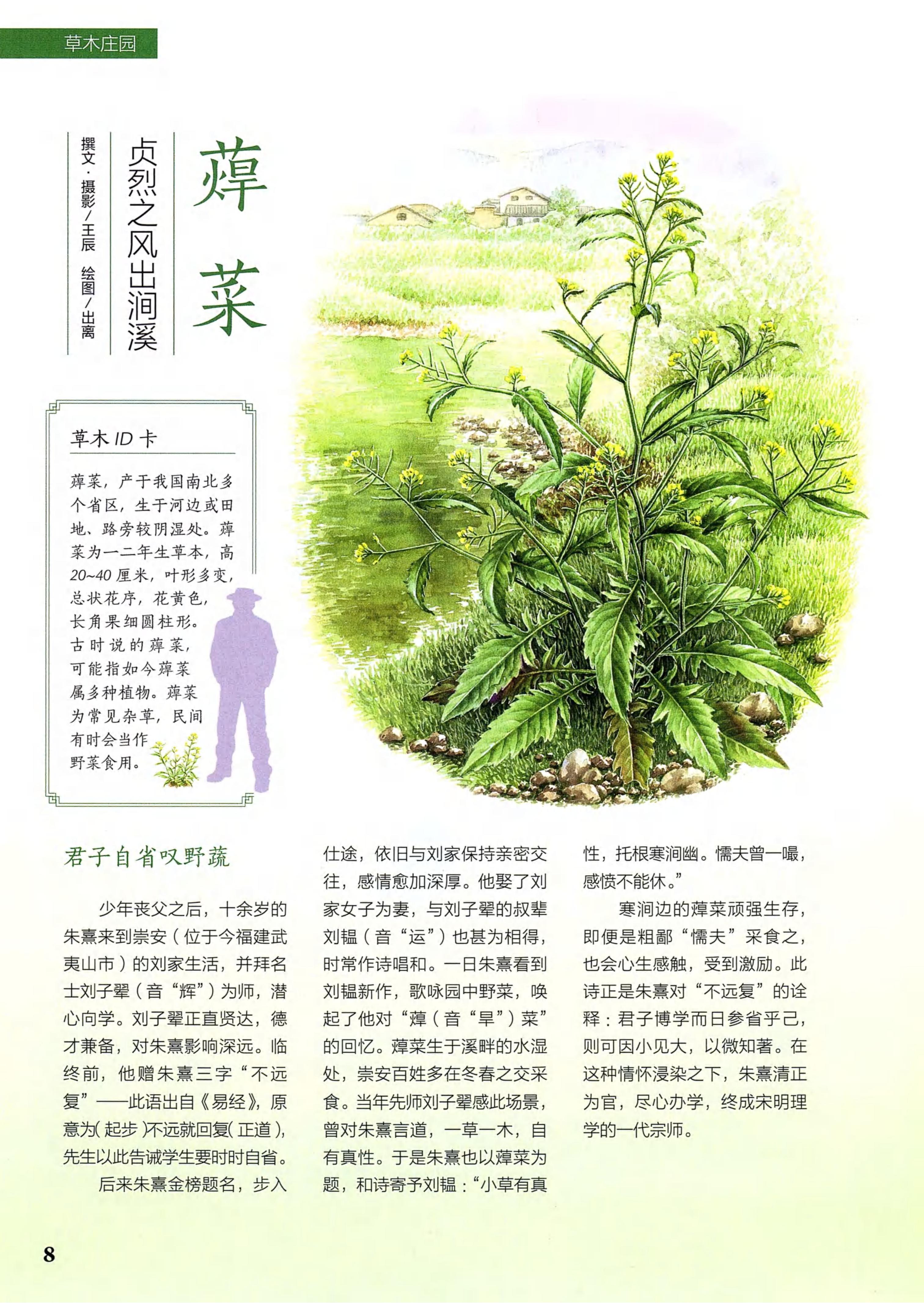 博物2021年2月_第6页