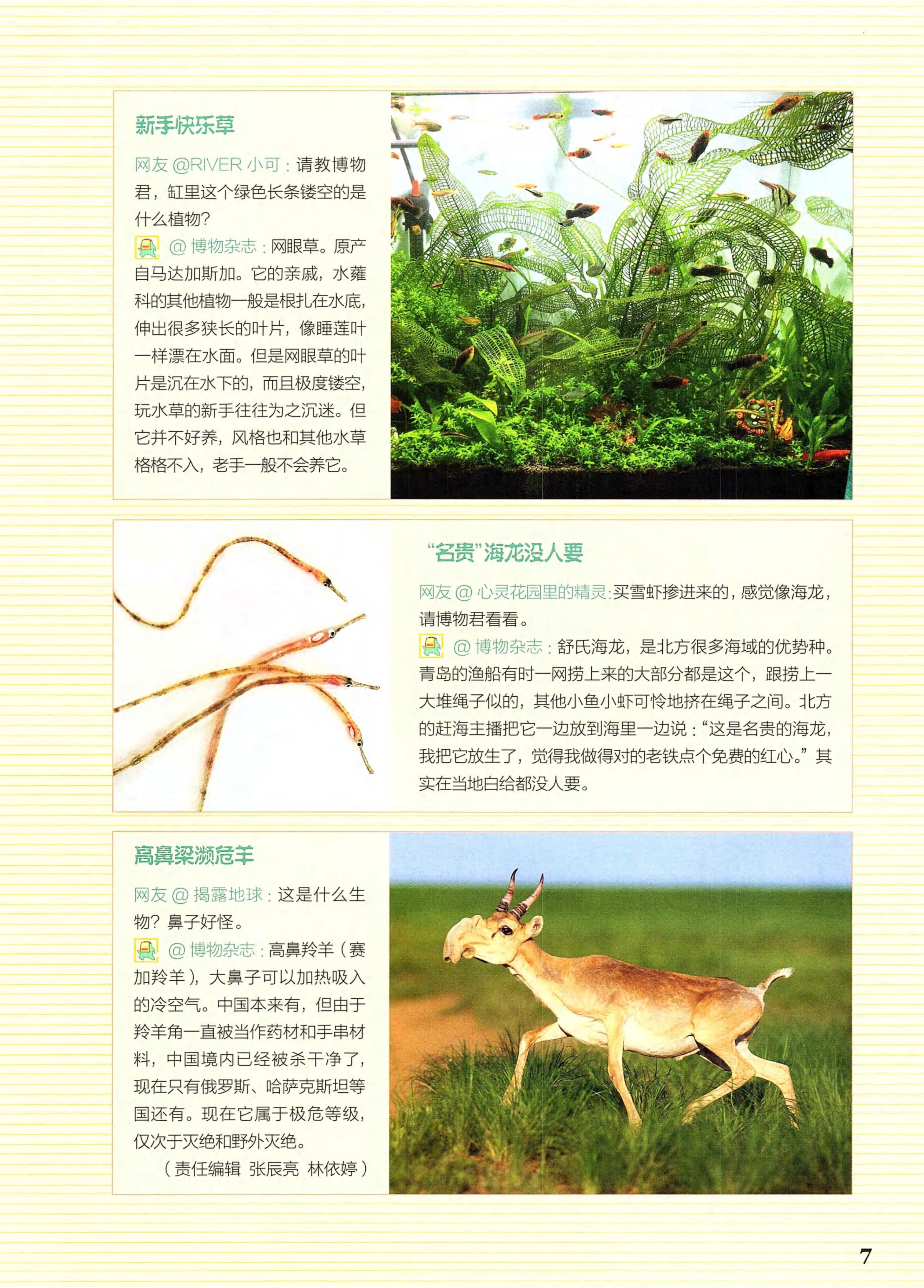 博物2021年7月_第7页