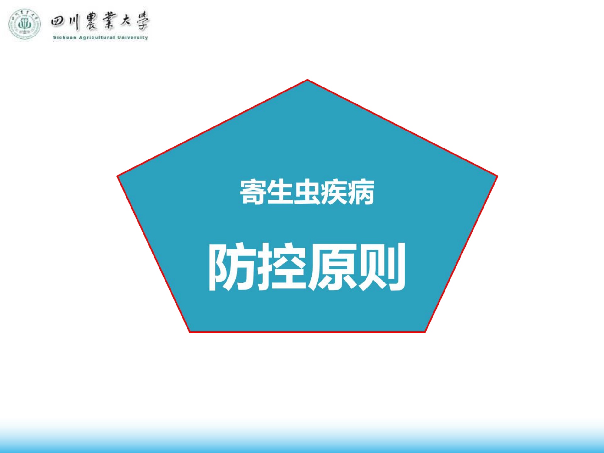 四川农业大学：寄生虫病防控方案