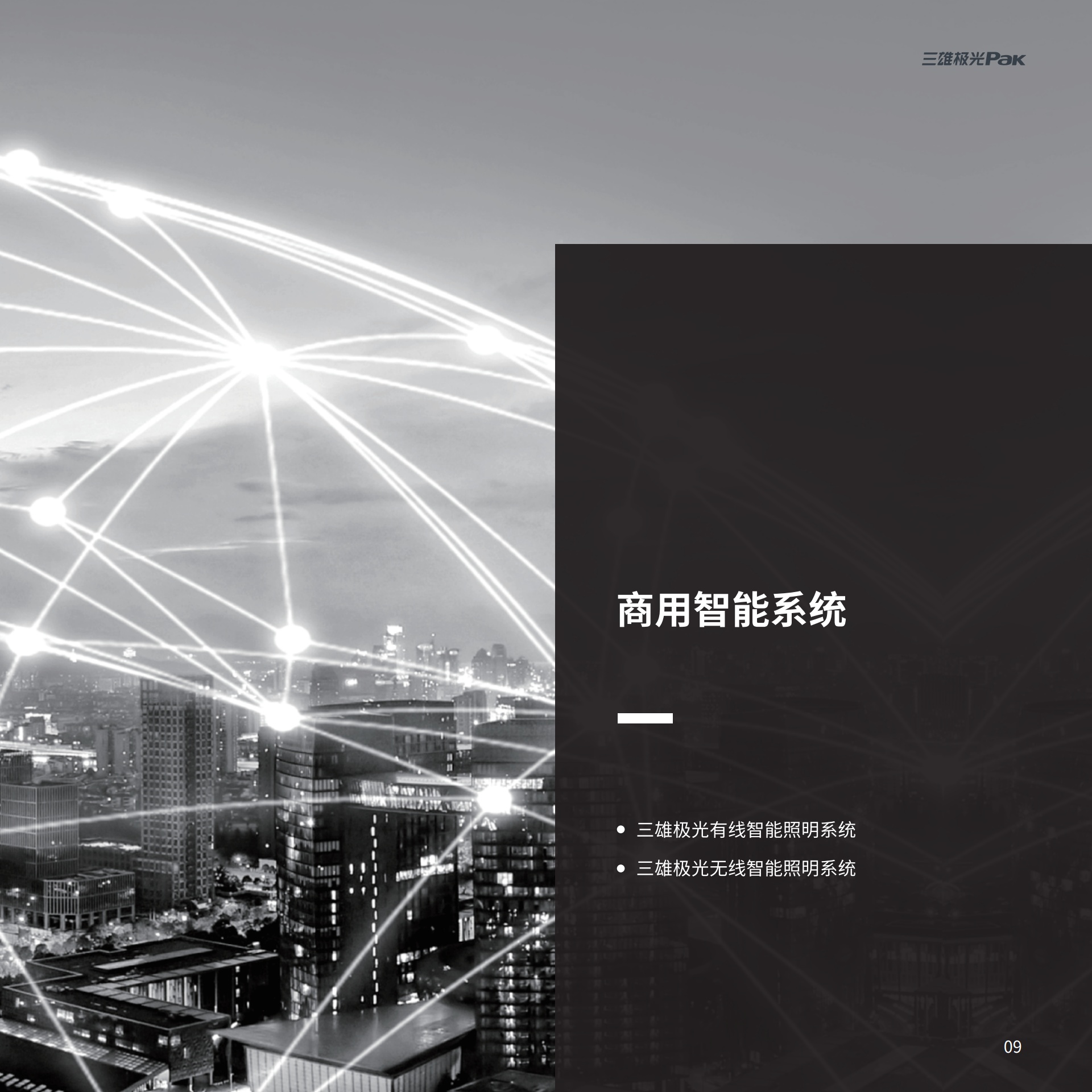 三雄极光：智能照明解决方案_第9页