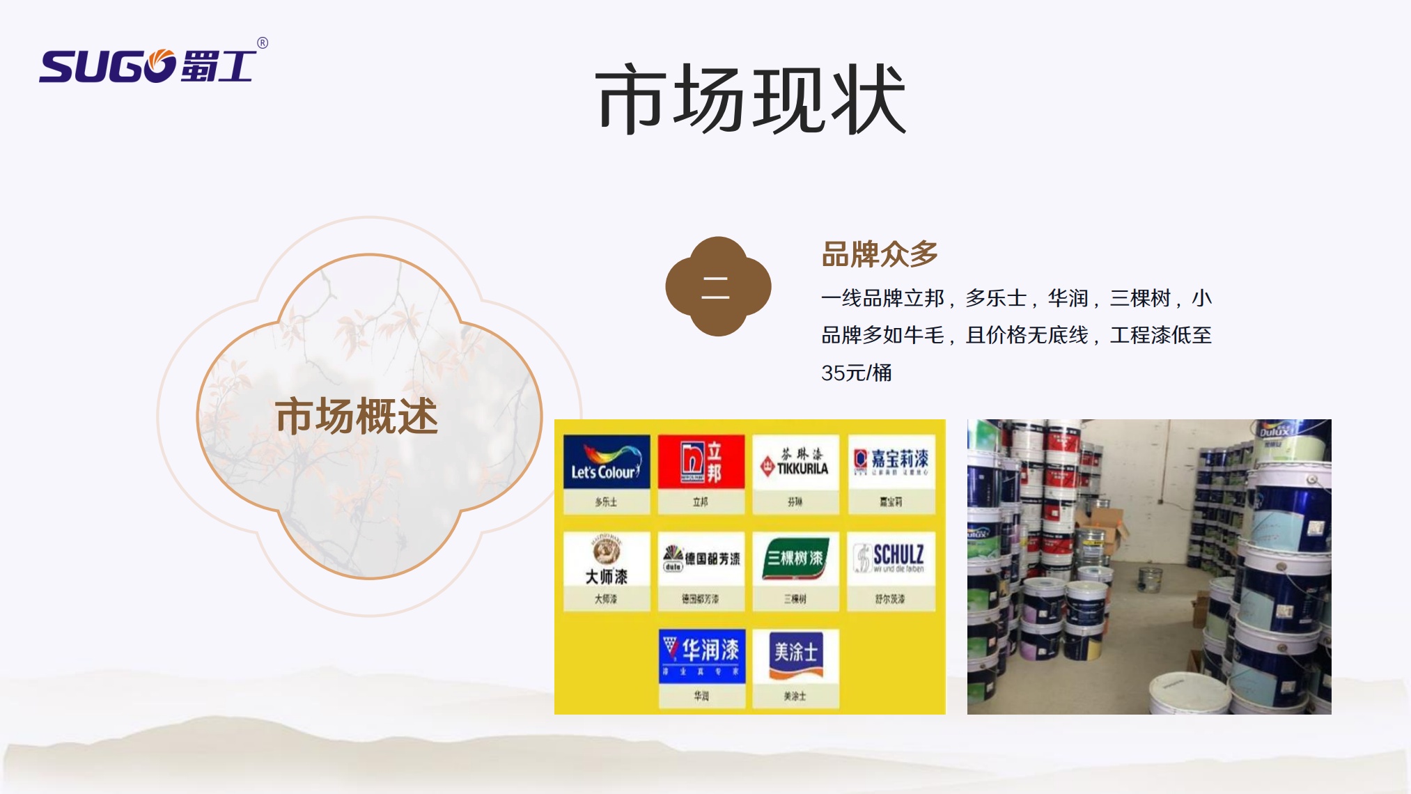 Sugo蜀工：内外墙涂料市场摸底工作总结汇报_第6页