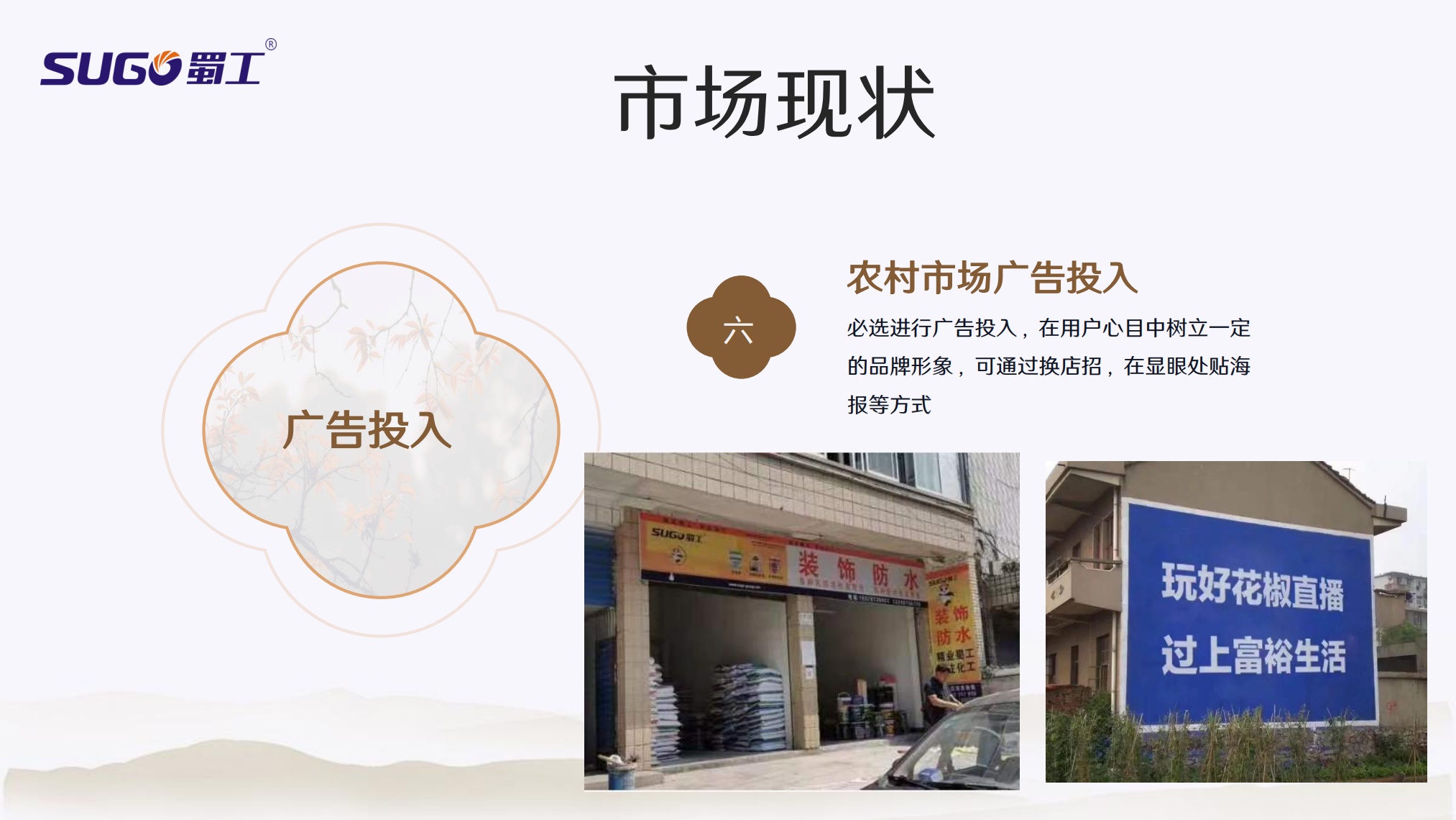 Sugo蜀工：内外墙涂料市场摸底工作总结汇报_第10页