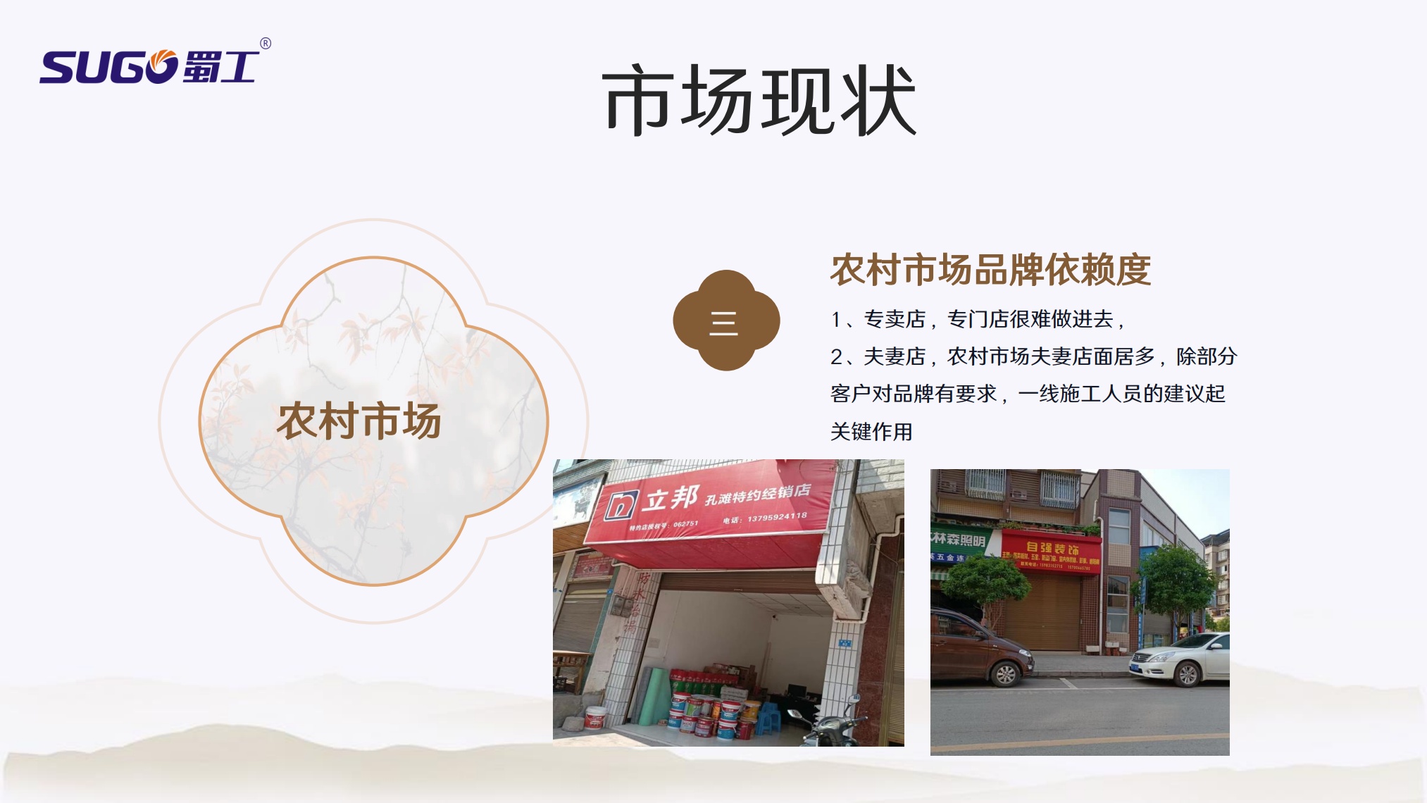 Sugo蜀工：内外墙涂料市场摸底工作总结汇报_第7页