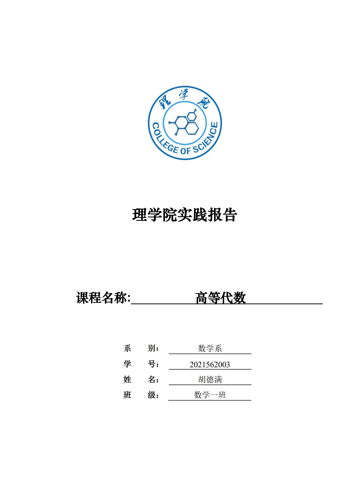 理学院实践报告：高等代数模板（论文类、设计类、程序类、解题方案类、调研报告类）