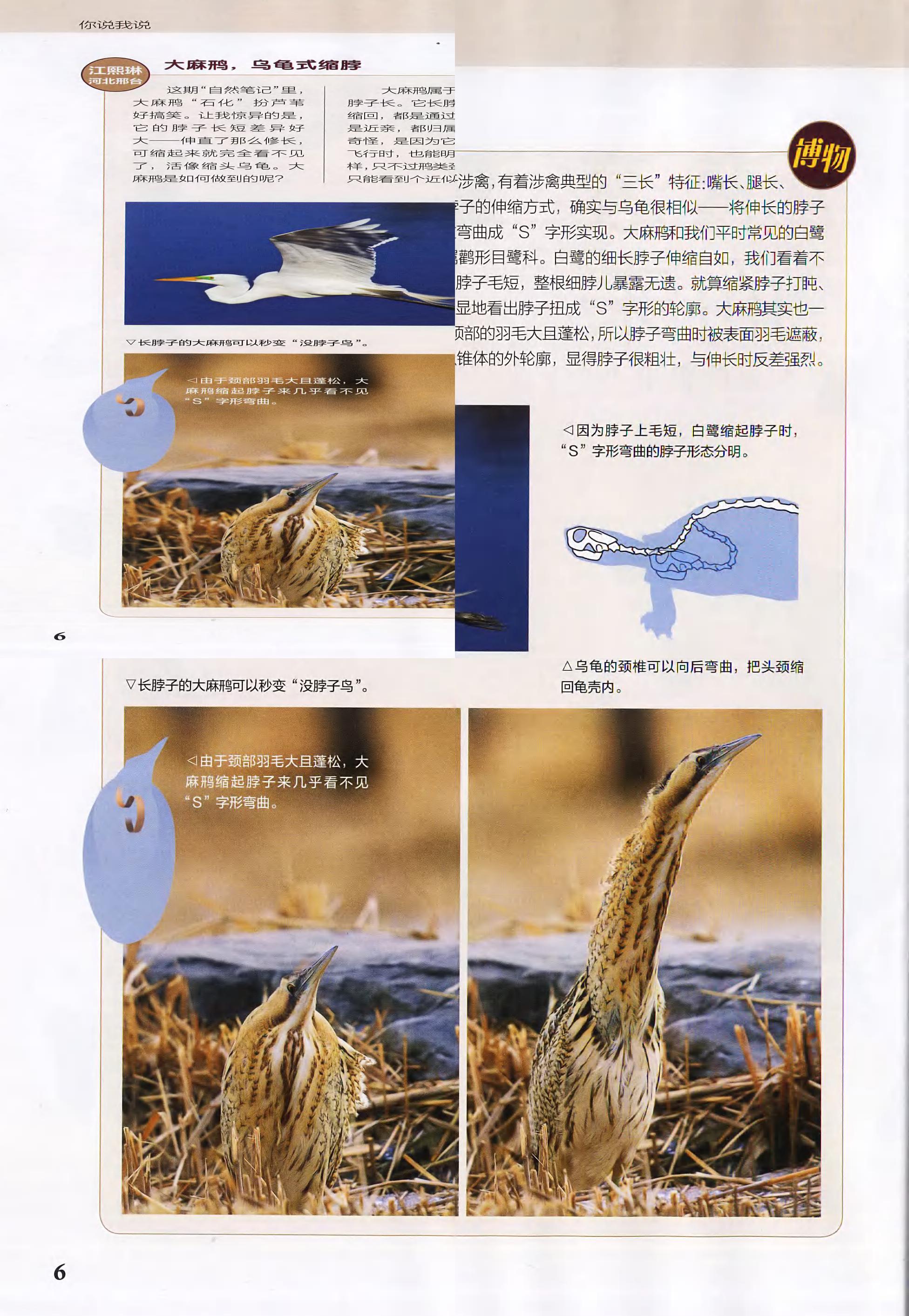 博物-2018-03_第8页