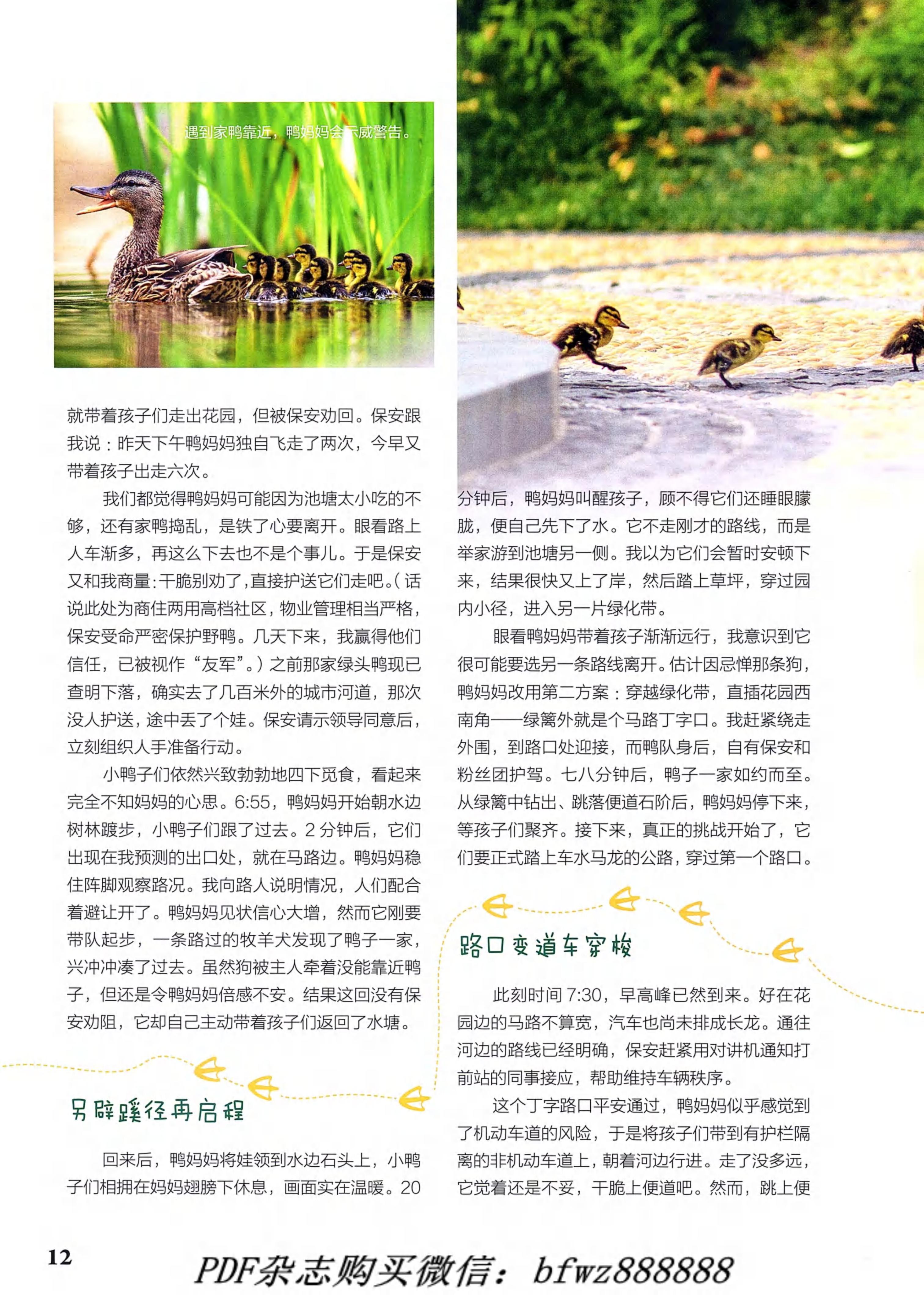 博物2021年6月_第10页