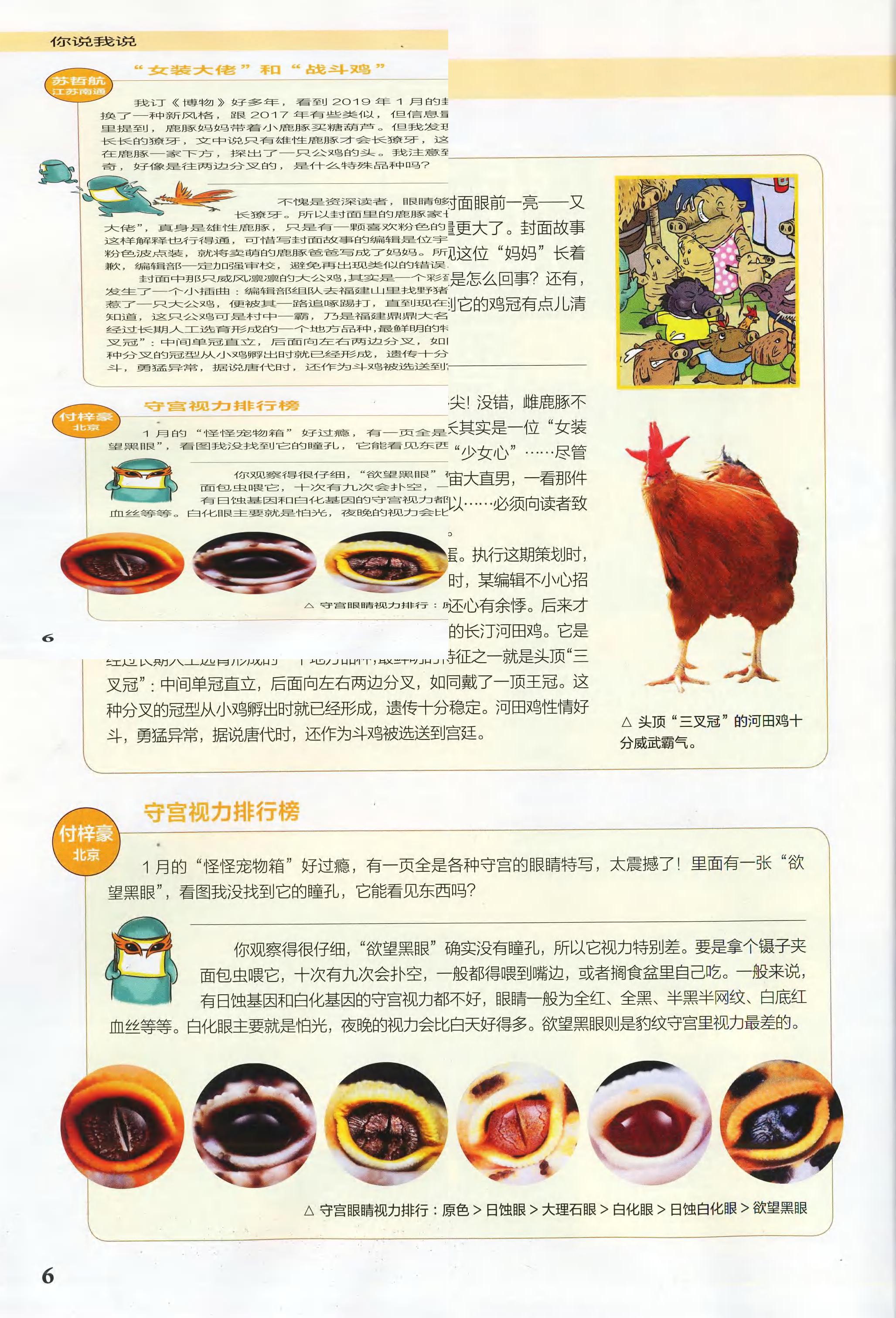 博物-2019-02_第8页