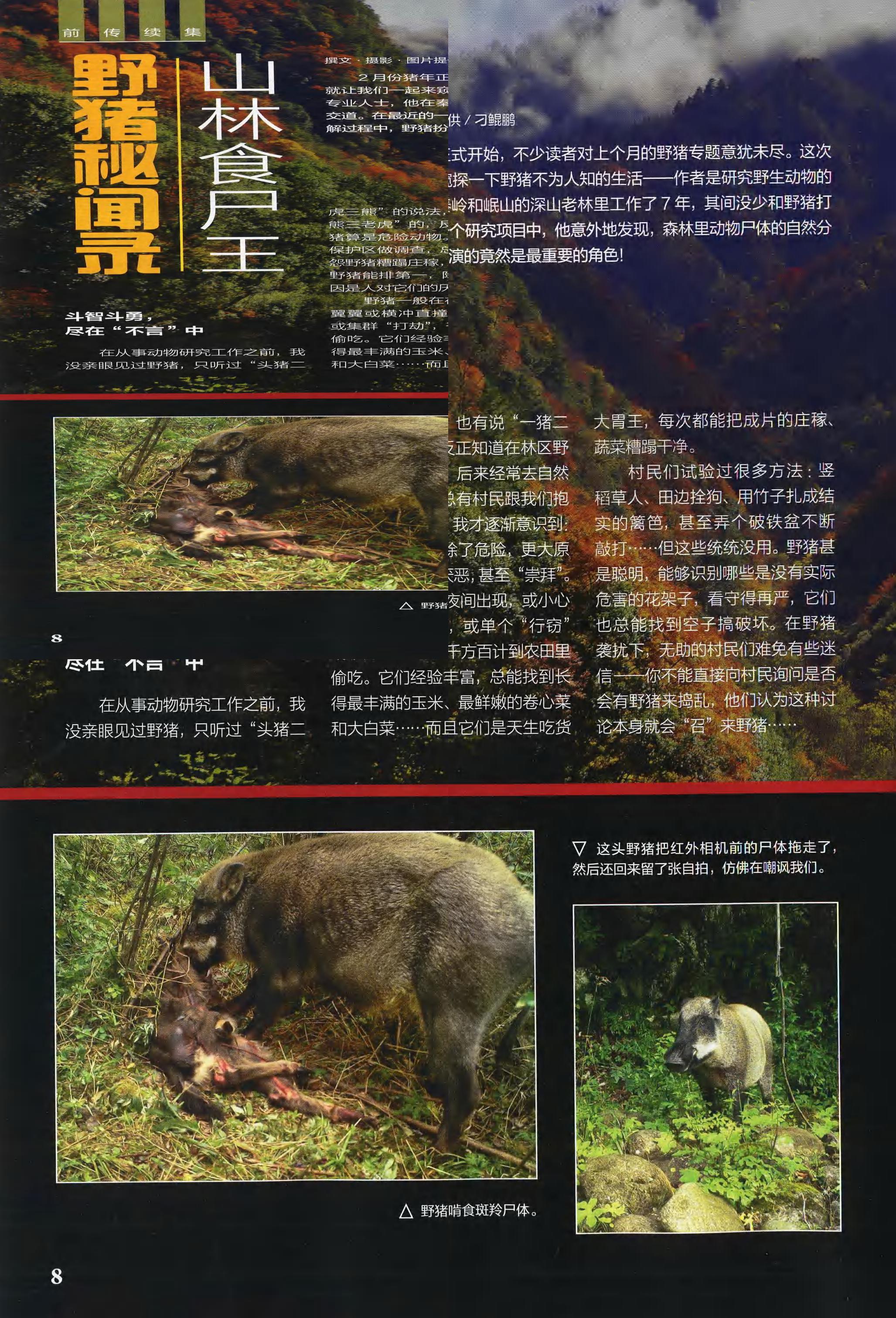 博物-2019-02_第10页