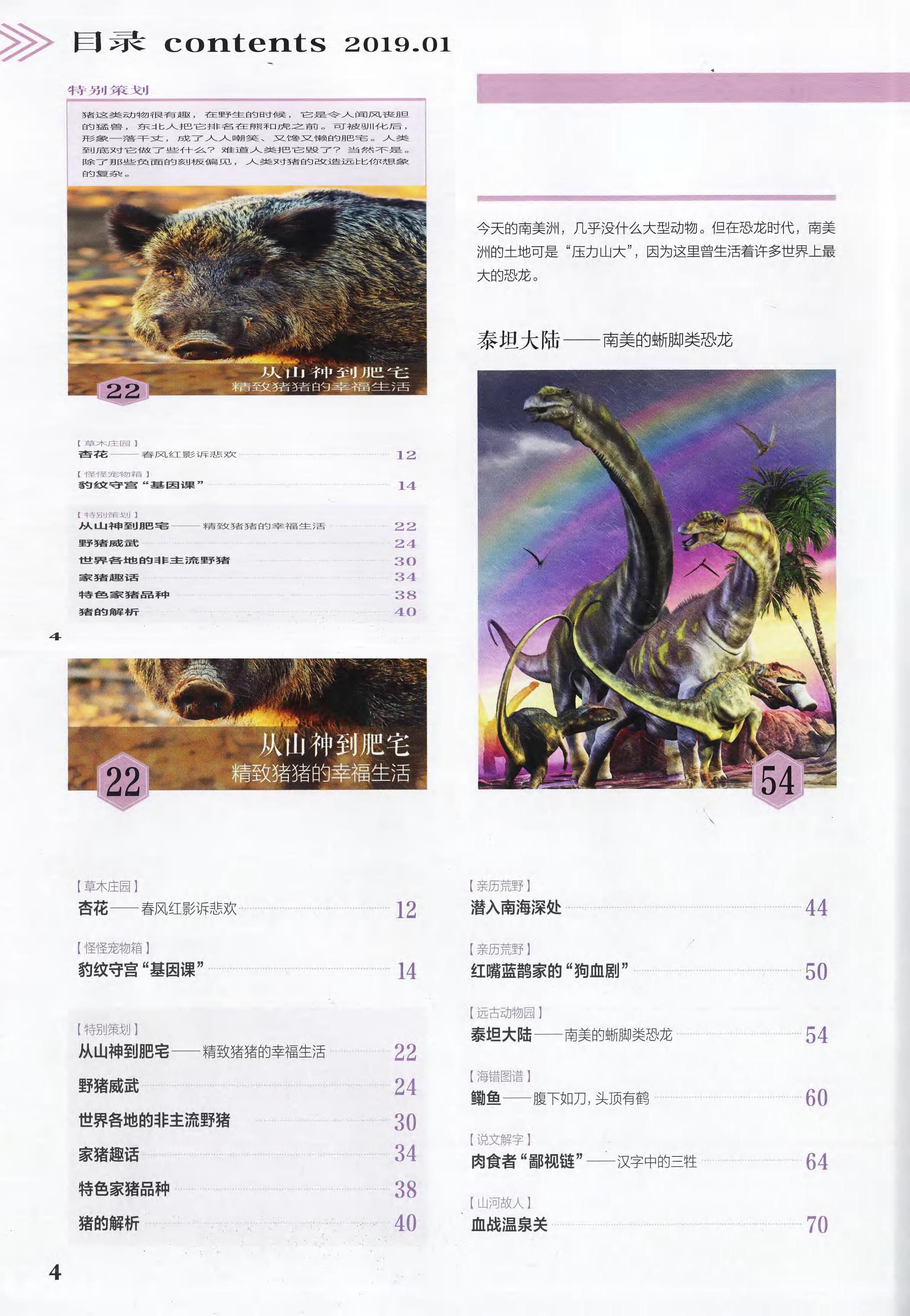 博物-2019-01_第6页