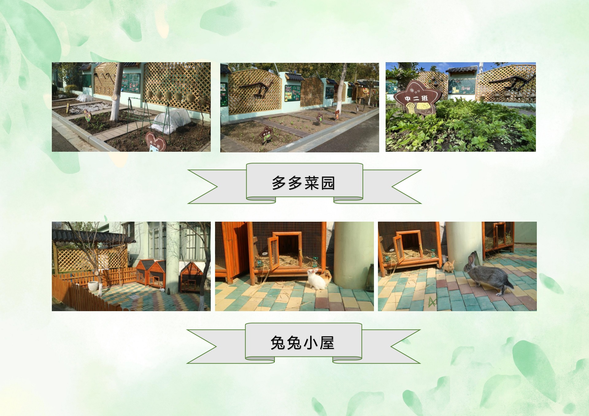 松江区佘山镇中心幼儿园入园指导手册_第8页