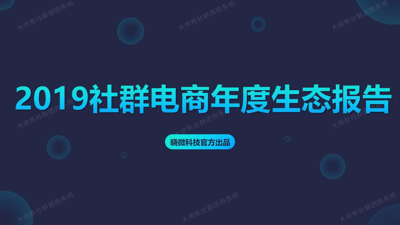晓微科技：2019社群电商年度生态报告