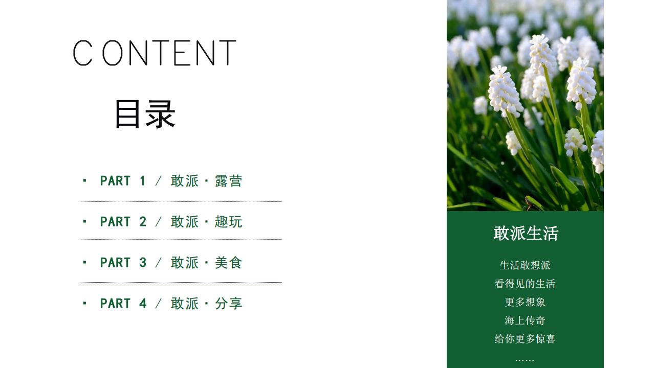 2019万科海上传奇敢派主题活动方案
