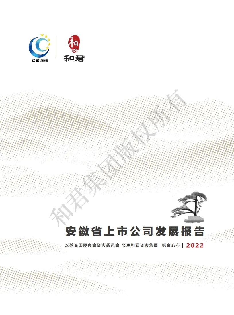 和君咨询：安徽省上市公司发展报告（2022年）