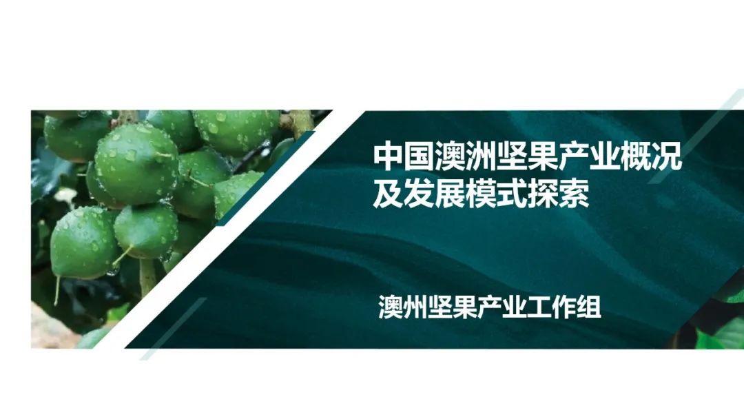 中国食品工业协会：2021-2022年中国澳洲坚果原料、产品分析预测报告