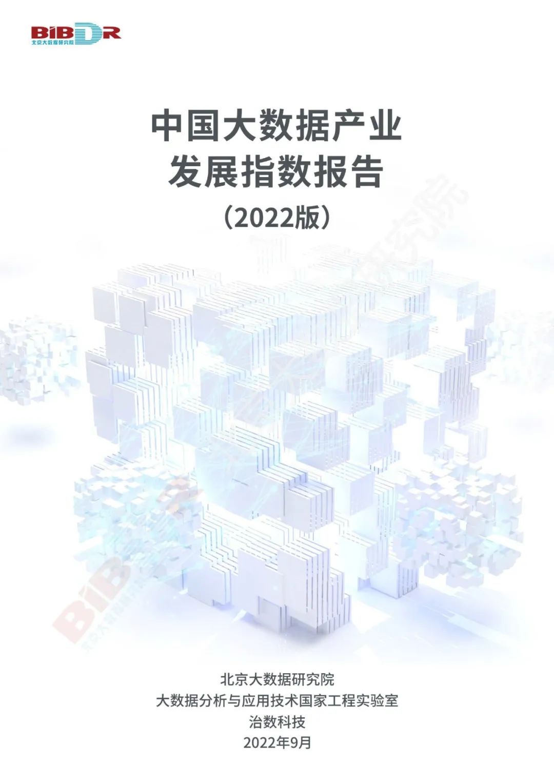 北京大数据研究院：中国大数据产业发展指数报告（2022版）