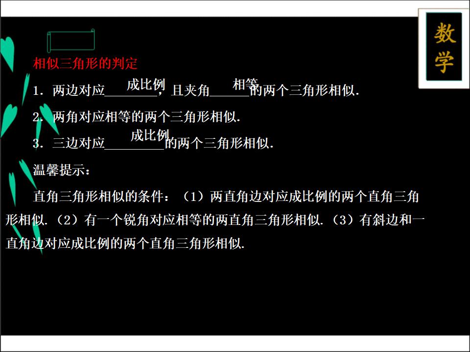 新北师大版青岛中考数学二轮复习专题五-图形的变化---四、图形的相似ppt课件_第8页