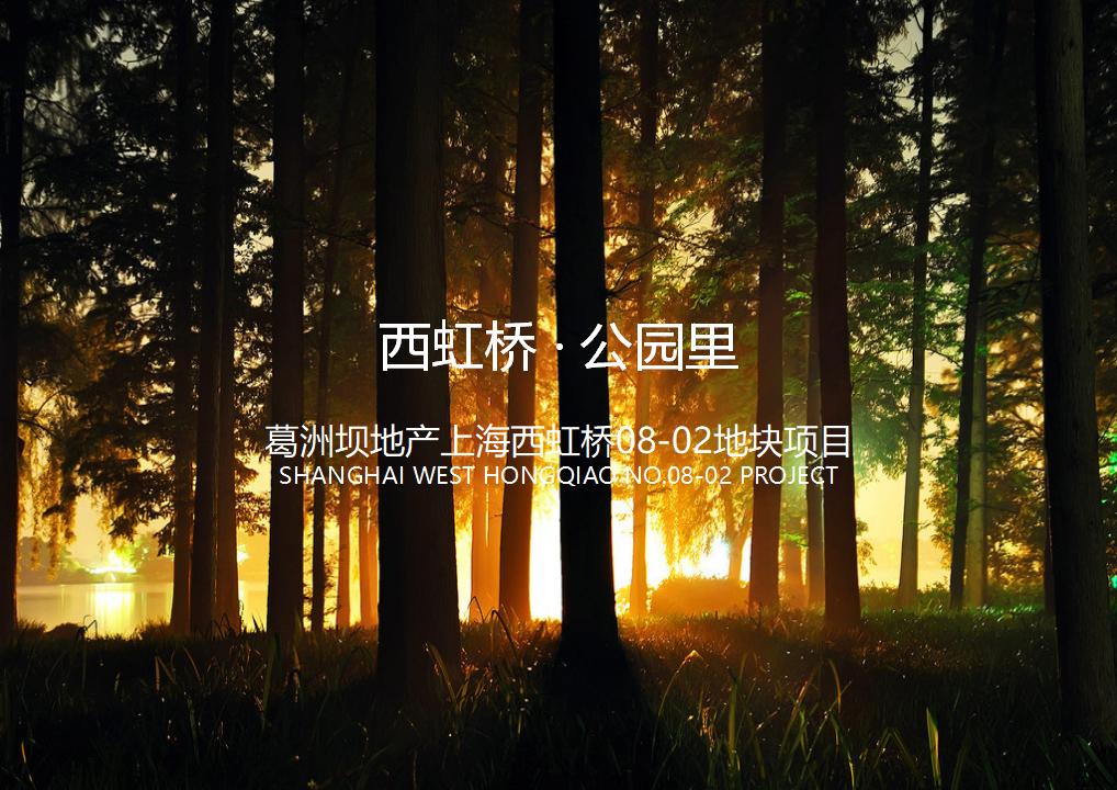 [上海]西虹桥·公园里—湖景公寓别墅建筑设计方案文本（高端定制，尊享生活）