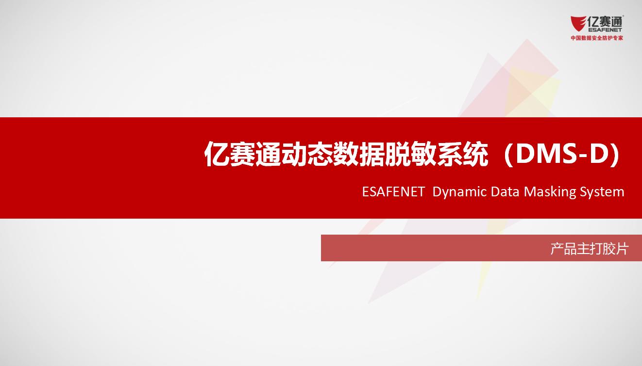 亿赛通动态数据脱敏系统（DMS-D）产品主打胶片