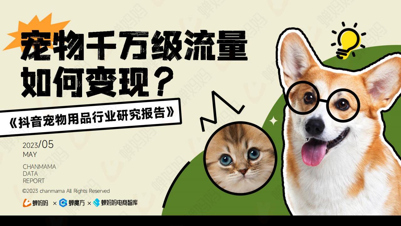 蝉妈妈：2023<em>抖音</em>宠物用品行业研究报告 海报