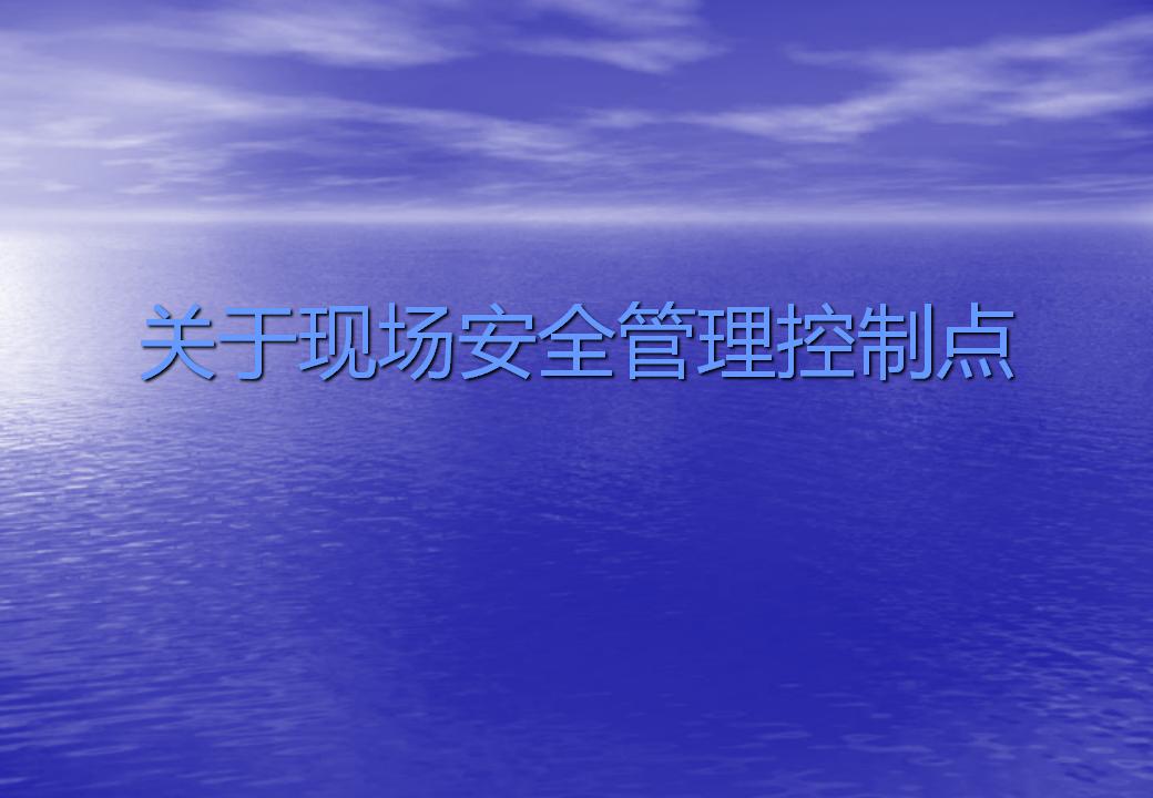 关于建设项目现场安全管理控制点（PPT）