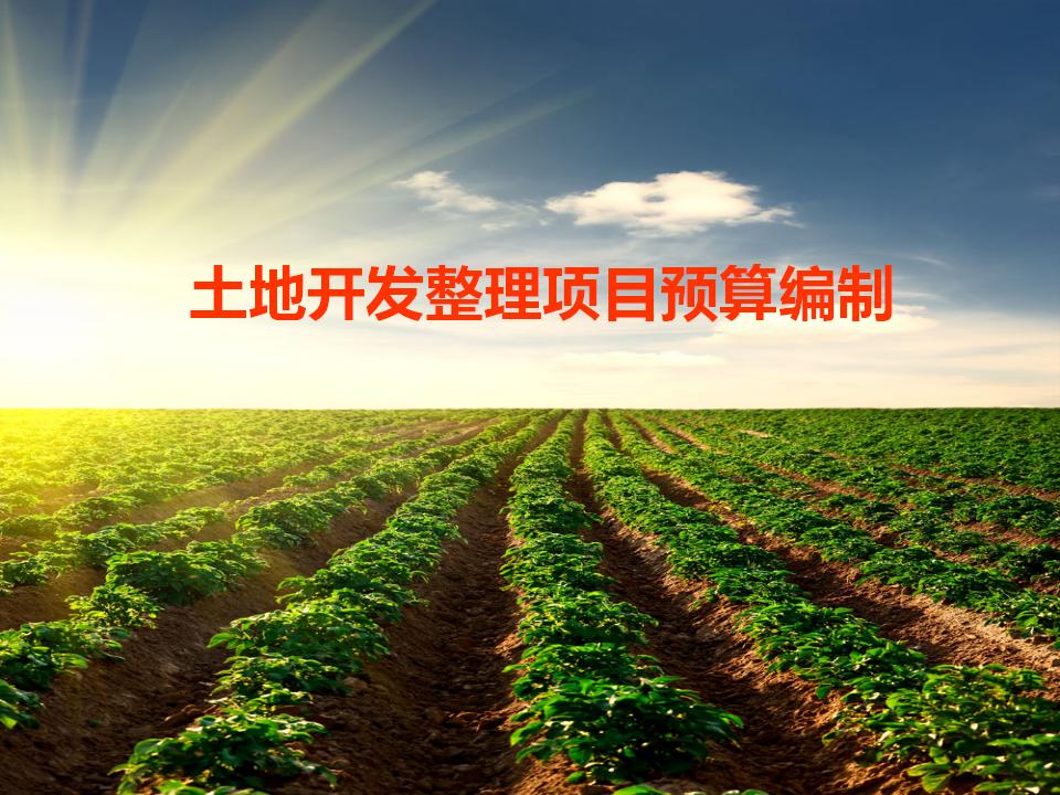 土地开发整理项目工程预算编制