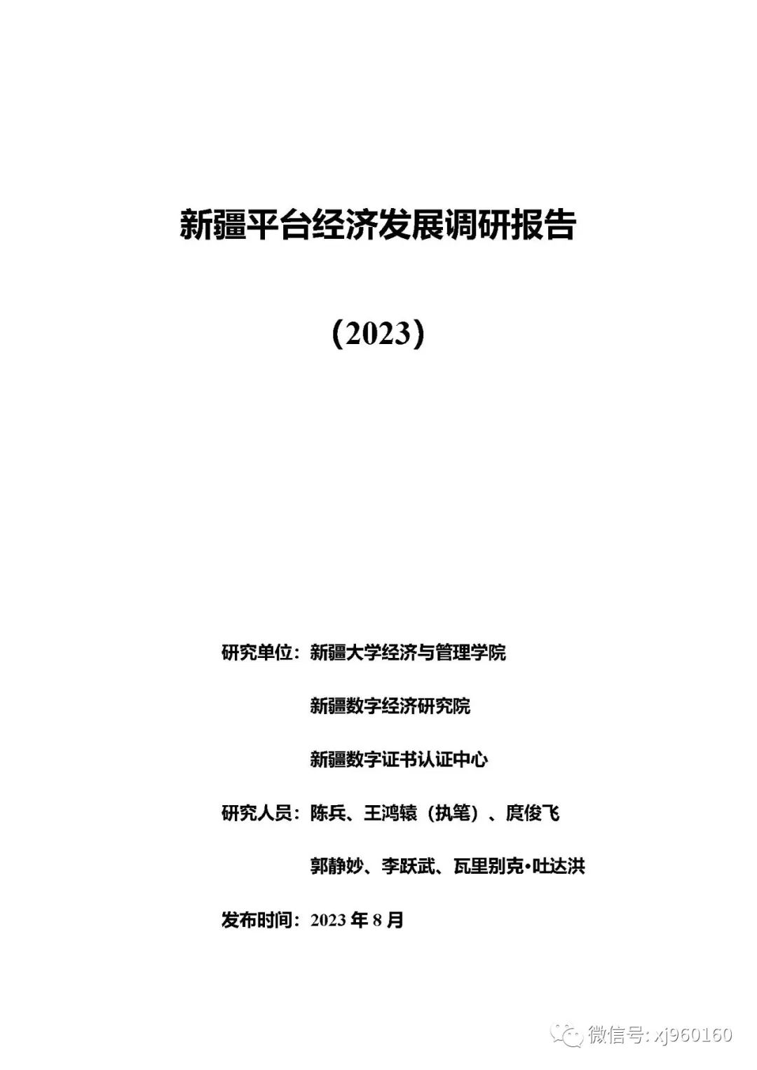 新疆大学&新疆数字经济研究院：新疆平台经济发展调研报告（2023）