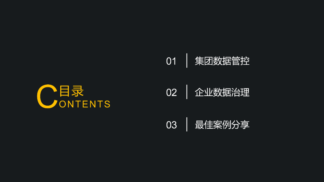 集团数据管控与数据治理解决方案