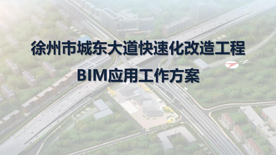 徐州市城东大道快速化改造工程BIM应用工作方案PPT61页
