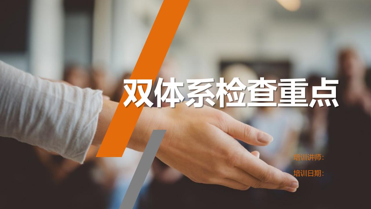 双体系检查重点（PPT）