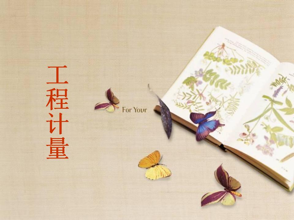 造价实务讲义-工程计量（333页）