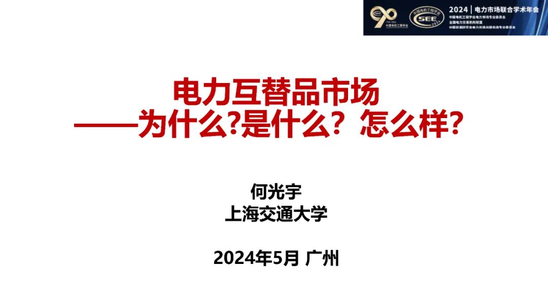 上海交通大学（何光宇）：2024电力互替品市场——为什么?是什么？怎么样？海报