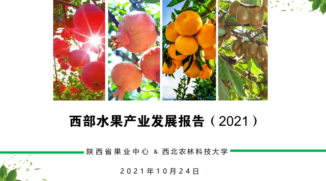 陕西省果业中心&西北农林科技大学：2021年西部水果产业发展报告