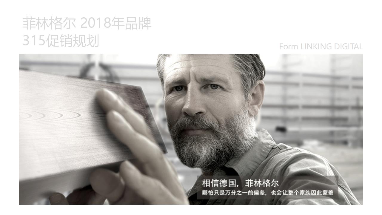 2018年菲林格尔品牌315促销规划方案